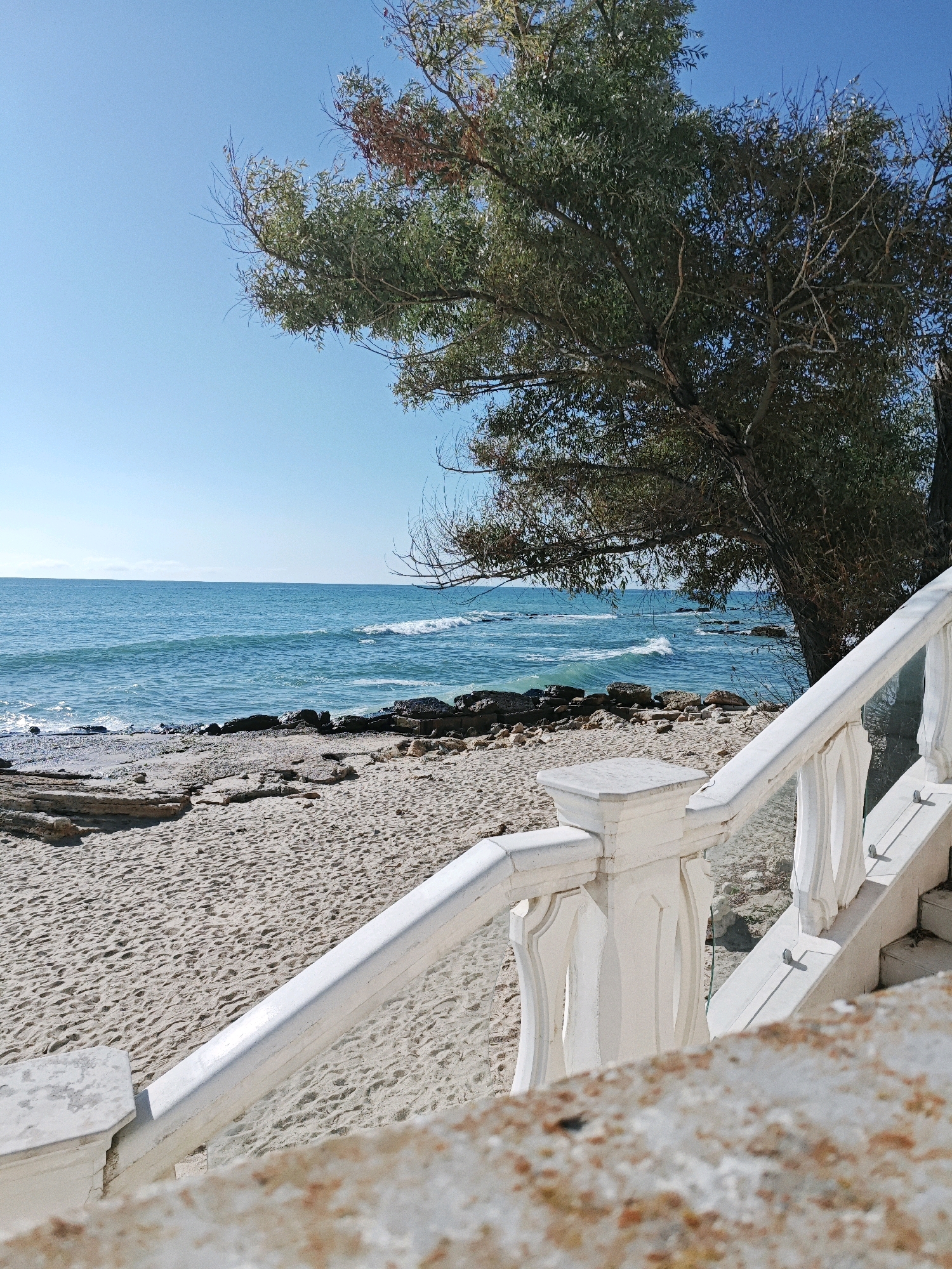A sunny, clear day at the beach is depicted. In the foreground, a white ornate railing and part of a stone structure suggest a walkway or stairs leading down to the beach. The beach itself is sandy with scattered rocks and some driftwood. The turquoise ocean stretches to the horizon, with gentle waves lapping at the shore. A large tree with green and reddish-brown leaves is prominent on the right side of the image, its branches extending over the beach. The sky is a clear, vibrant blue.