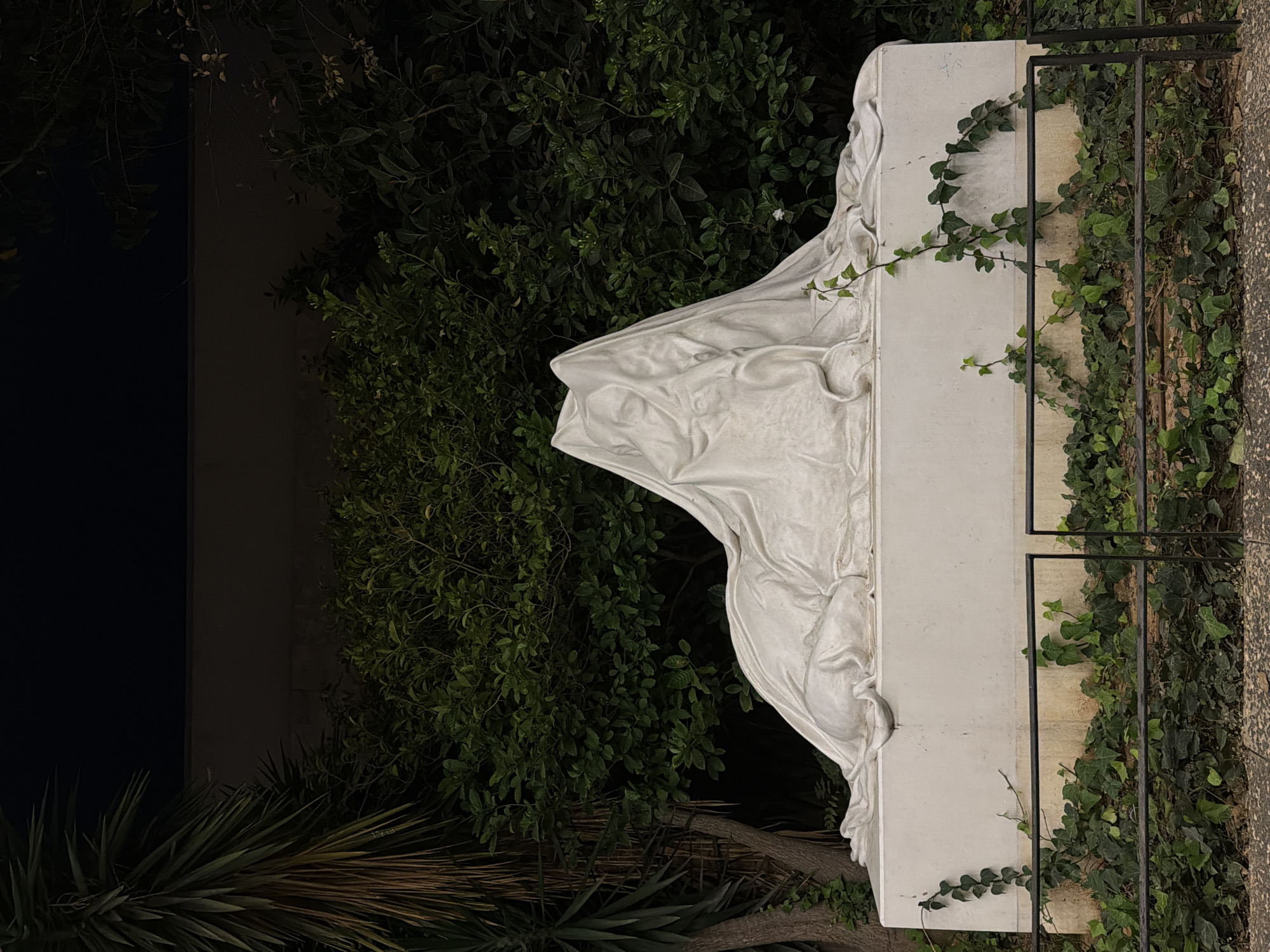 The image displays a white marble statue set within a garden environment under low light conditions, suggesting nighttime. The statue, positioned centrally, depicts a draped figure, possibly veiled, showcasing intricate folds that emulate flowing fabric. It stands upon a simple, rectangular white base.
Behind the statue and to its left, dense green foliage and leafy bushes create a dark backdrop. A dark building or wall is dimly visible in the far left background. In the lower left foreground, spiky, succulent-like plants are present.
Along the right side of the statue's base, green ivy vines are seen climbing, with some tendrils also reaching onto the statue itself. A dark metal fence or railing, partially covered by more ivy, runs along the right edge of the frame.
The overall scene conveys a solemn and serene atmosphere due to the dim illumination and the nature of the sculptural subject. There is no discernible activity taking place. No text is visible in the image.