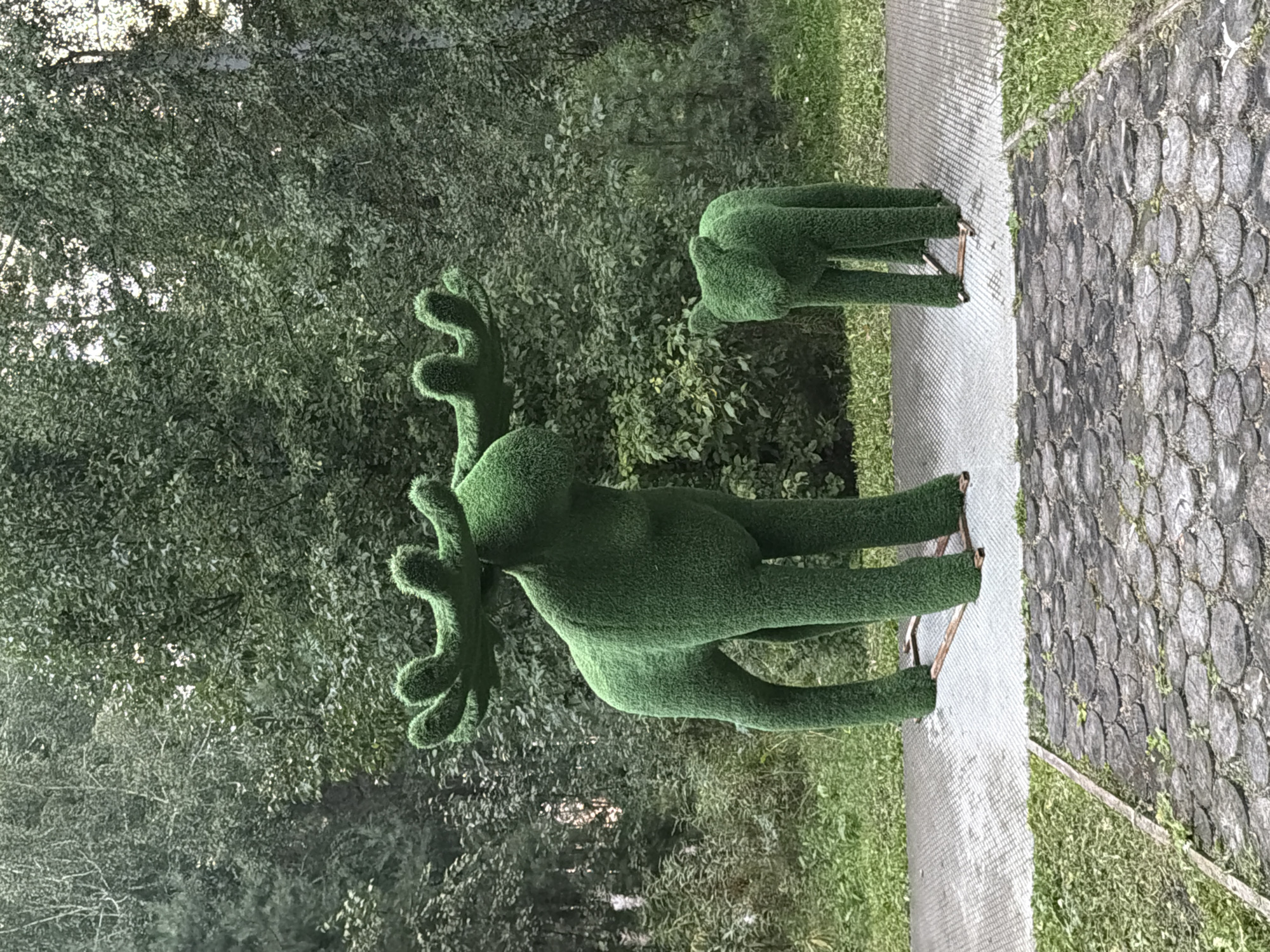 An outdoor scene in Zarechny, Russia, features two topiary sculptures of moose, one large and one small, set against a backdrop of lush green trees. The sculptures are made of a green, textured material resembling artificial grass. The larger moose, positioned on the left, stands tall with impressive antlers. The smaller moose, to its right, is positioned lower and appears to be a calf. Both sculptures are standing on a grey, patterned paved surface. In the foreground, a path made of circular wooden slices is visible. The surrounding environment is a naturalistic setting with dense foliage and trees.