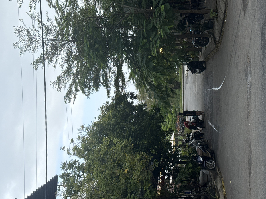 The image depicts a daytime scene on a paved asphalt street in Ngũ Hành Sơn Ward, Vietnam, under an overcast sky. The street surface exhibits two distinct, parallel, curved white marks. Dense green foliage and trees line both sides of the road, obscuring portions of adjacent structures. On the left side of the street, a row of approximately five parked motorcycles is visible along a raised curb. Two young males are present near these motorcycles; one, wearing a red shirt, is leaning towards a motorcycle, while the other, in a dark shirt and shorts, stands upright beside him. A building with a corrugated roof is partially visible above the trees on the left. On the right side of the street, a shaded area beneath trees reveals additional parked motorcycles and at least two partially visible individuals, one of whom appears to be seated. In the distant background, a light-colored pickup truck is partially visible amongst the trees. Multiple black power lines traverse the sky overhead.