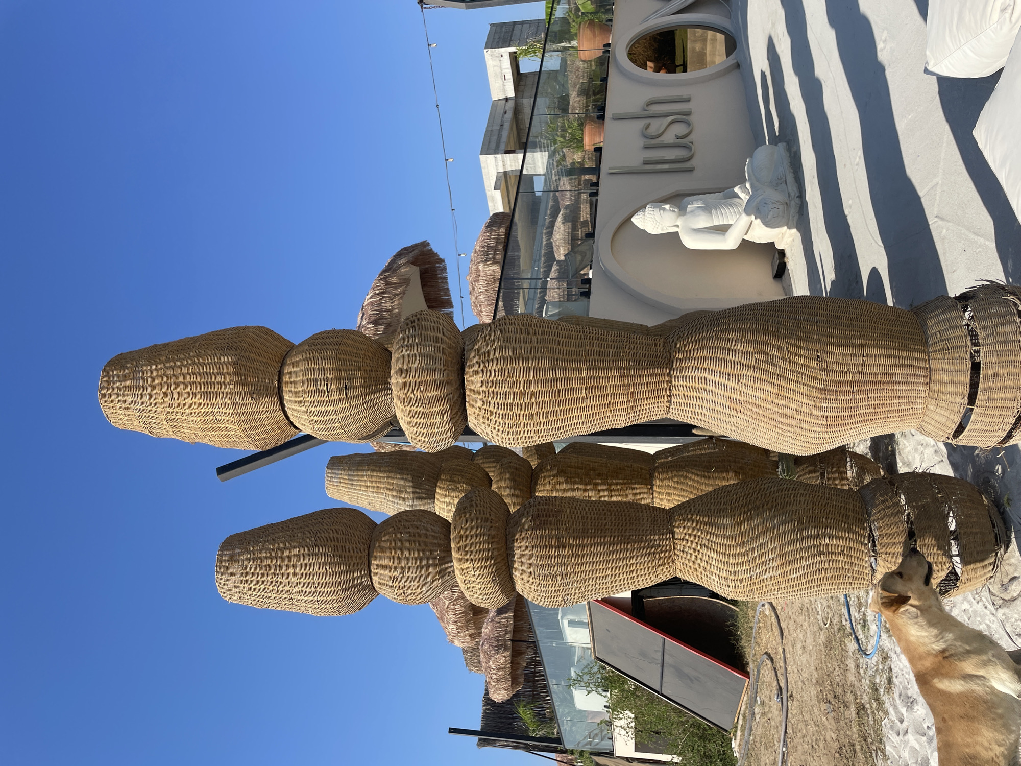 In Trikomo, Northern Cyprus, a beachside establishment called "lush" is depicted on a sunny day. The scene features tall, woven wicker sculptures resembling elongated urns, stacked with spherical elements. In the foreground, a light-colored dog stands on a sandy surface, looking towards the left. Behind the sculptures, the "lush" establishment displays a white Buddha statue seated in meditation. The building's exterior is modern, with curved white walls and a glass-paneled upper level. Thatched umbrellas are visible, suggesting an outdoor seating area. The sky above is a clear, bright blue, and long shadows are cast across the white ground from the sculptures and possibly an overhead structure.