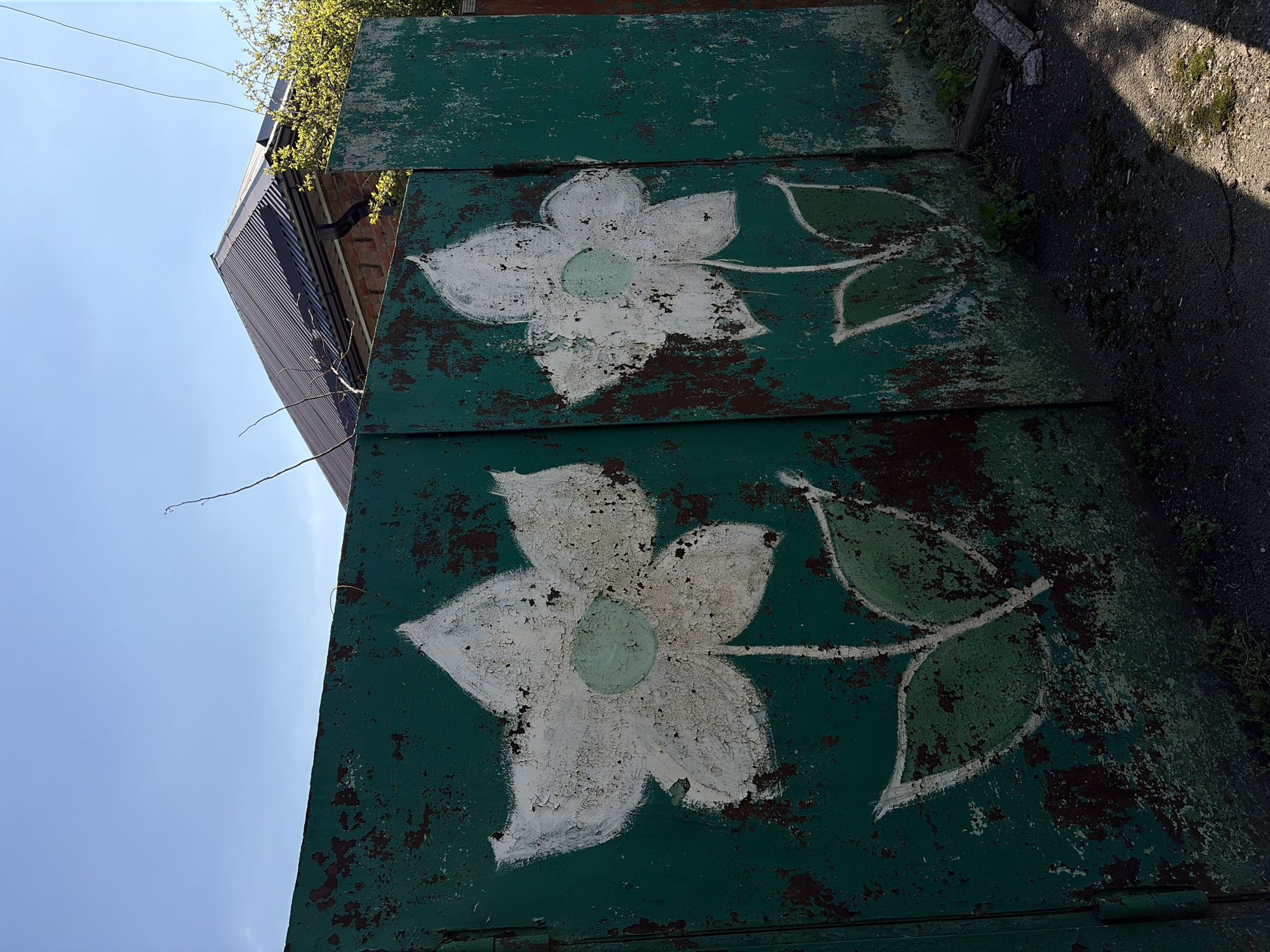 The image shows a close-up, tilted view of two green, rusty metal doors or panels, each painted with a large white flower and green leaves. The paint is peeling, revealing rust underneath. The doors appear to be part of a larger structure or enclosure. In the background, there is a partial view of a building with a gray corrugated metal roof and brick walls. Vegetation is visible on top of the building and between the metal doors. The sky is light blue. A shadow is cast in the upper right corner, possibly from another structure. Based on the information provided, the location is Krasnodar, Russia.