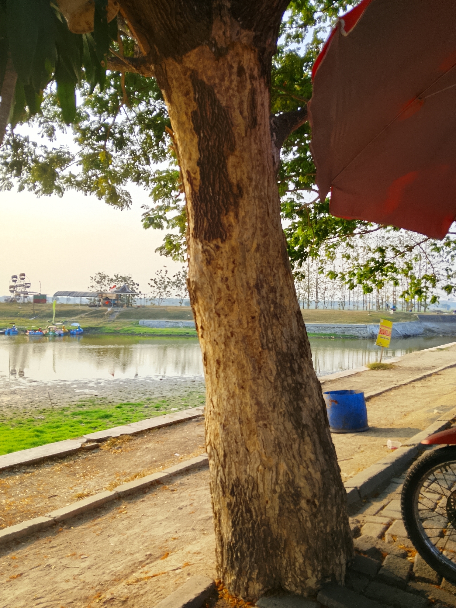 The image depicts a canal side scene in Ngadrin, Indonesia, bathed in the warm light of what appears to be late afternoon or early morning. In the foreground, a large tree trunk dominates the right side of the frame, its textured bark catching the sunlight. Partially visible in the upper right corner is a folded red umbrella, casting a shadow.
Beyond the tree, a paved pathway runs along the edge of a calm body of water, likely a canal. The water reflects the soft light and the surrounding environment. On the far bank of the canal, a patch of vibrant green grass is visible, bordering a dry, sandy area. Further in the background, a Ferris wheel and a covered structure with a thatched roof suggest recreational activity. Several small, colorful paddle boats are moored near the canal's edge. A blue plastic barrel is situated on the pathway near the tree. In the lower right corner, the wheel and part of the frame of a red motorcycle are visible. The sky is hazy and light-colored, indicating a possibly overcast or dusty atmosphere. The overall impression is one of a tranquil, outdoor public space with elements of leisure and local life.