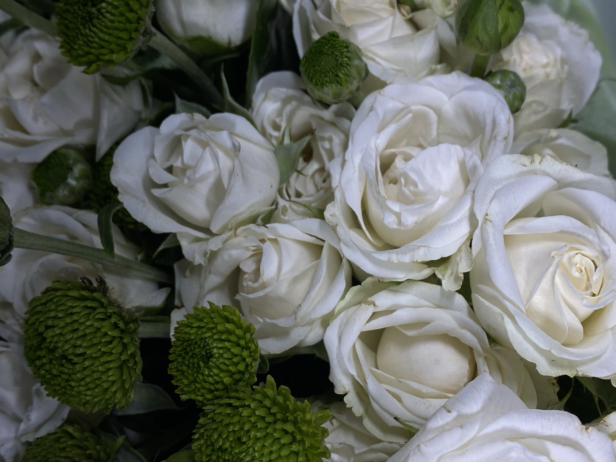 A close-up, overhead view of a bouquet of white roses and green button chrysanthemums. The roses are in various stages of bloom, with some fully open and others tightly budded. The chrysanthemums are small and spherical, with a spiky texture. The flowers are arranged in a dense cluster, with some greenery visible. The lighting is dim, casting shadows on the petals.
