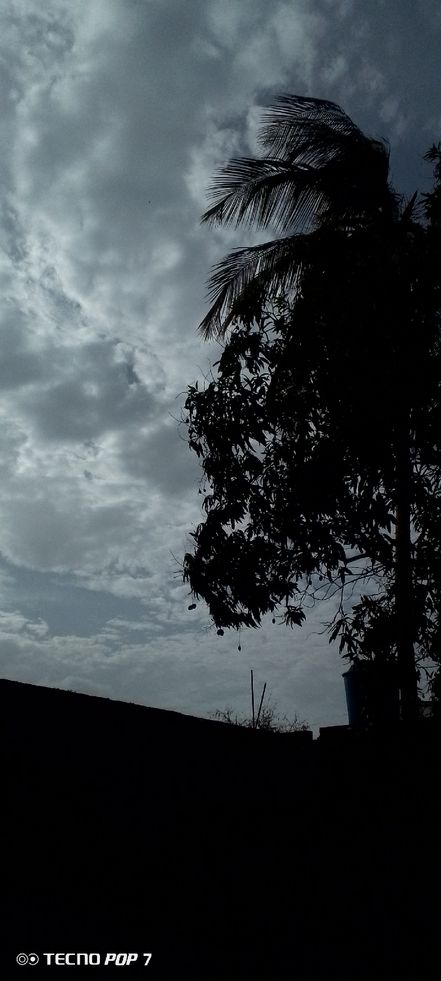 The image depicts a silhouette of trees against a cloudy sky, likely in Altagracia, Venezuela. The foreground is mostly dark, obscuring details. The cloudy sky suggests overcast weather. A building can be seen in silhouette at the bottom left. One tree appears to be a palm tree and the other looks like a mango tree.