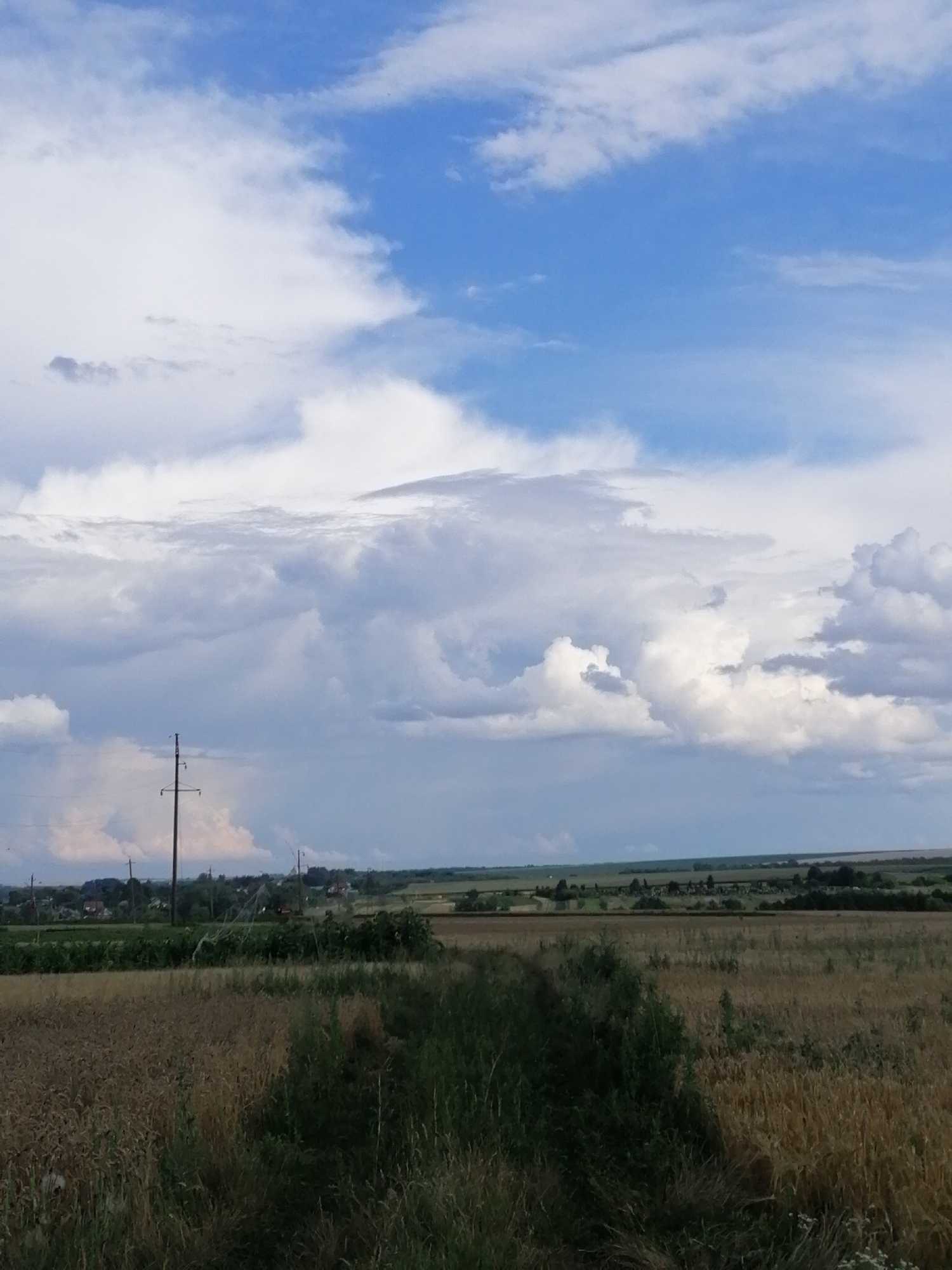This is a wide-angle, eye-level, outdoor shot taken during the daytime in the village of Mali Kuskivtsi, Ukraine. The image features a rural landscape under a partly cloudy sky. In the foreground, a dirt path cuts through fields of dry, golden-brown crops, likely wheat or barley, with patches of green grass and vegetation on either side of the path. In the middle ground, there are more fields, some with crops and some appearing fallow. A utility pole with crossbars stands prominently in the middle left of the frame. Further in the background, a line of trees separates the fields from a village with houses and buildings visible. The horizon stretches across the scene, with rolling hills or fields in the distance under a sky filled with a mix of bright blue patches and large, white and grey cumulus clouds.
