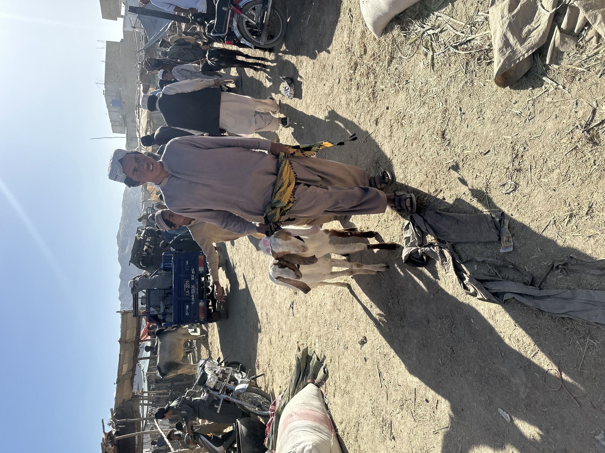 A man stands in a dusty lot in Quetta City Tehsil, Pakistan, holding two goats. The man wears a traditional shalwar kameez and a cap. He has a yellow and green cloth around his waist. The goats are white and brown. In the background, there are people, motorcycles, a truck, and other animals in a busy, crowded marketplace. The scene is sunlit and dusty. Buildings and mountains are visible in the distance. The ground is dirt and scattered debris.