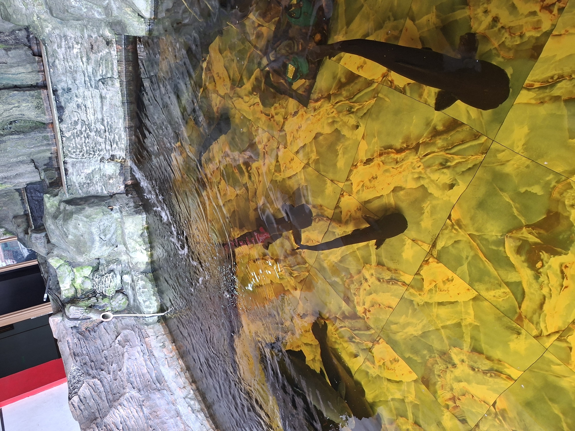 The image depicts fish swimming in a tank with yellow and orange tiled bottom at what appears to be an indoor aquarium exhibit. A water feature, resembling a rock face, borders the tank. The location might be in Blang Lilue, Indonesia.