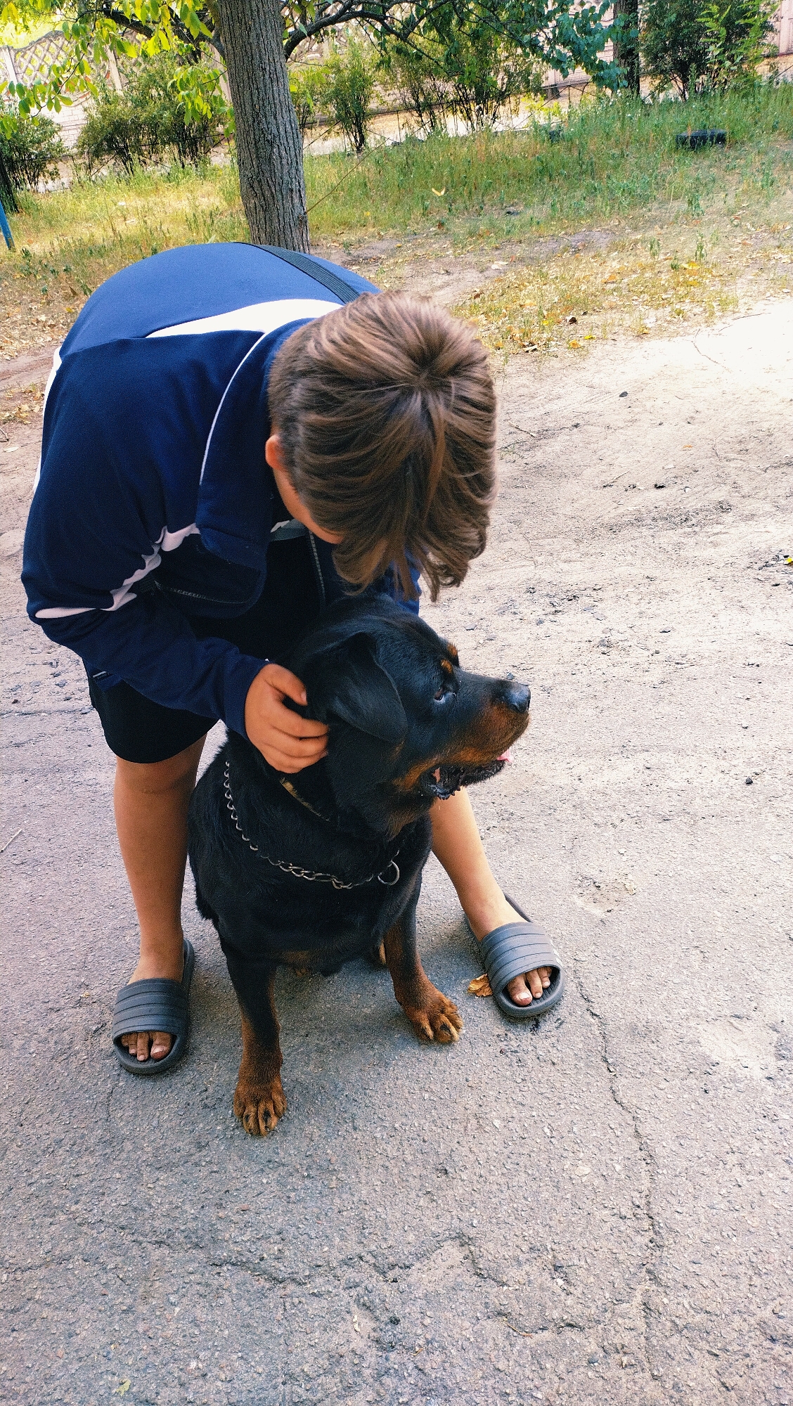 A young person wearing a blue and white athletic jacket, black shorts, and grey slides is bending down to pet a black Rottweiler dog. The dog is wearing a chain collar and is sitting on a cracked asphalt surface. The background shows a tree with a rough bark, green bushes, and dry grass, suggesting an outdoor urban or park setting in Horishni Plavni, Ukraine. The lighting indicates it is daytime, possibly late afternoon given the shadows.