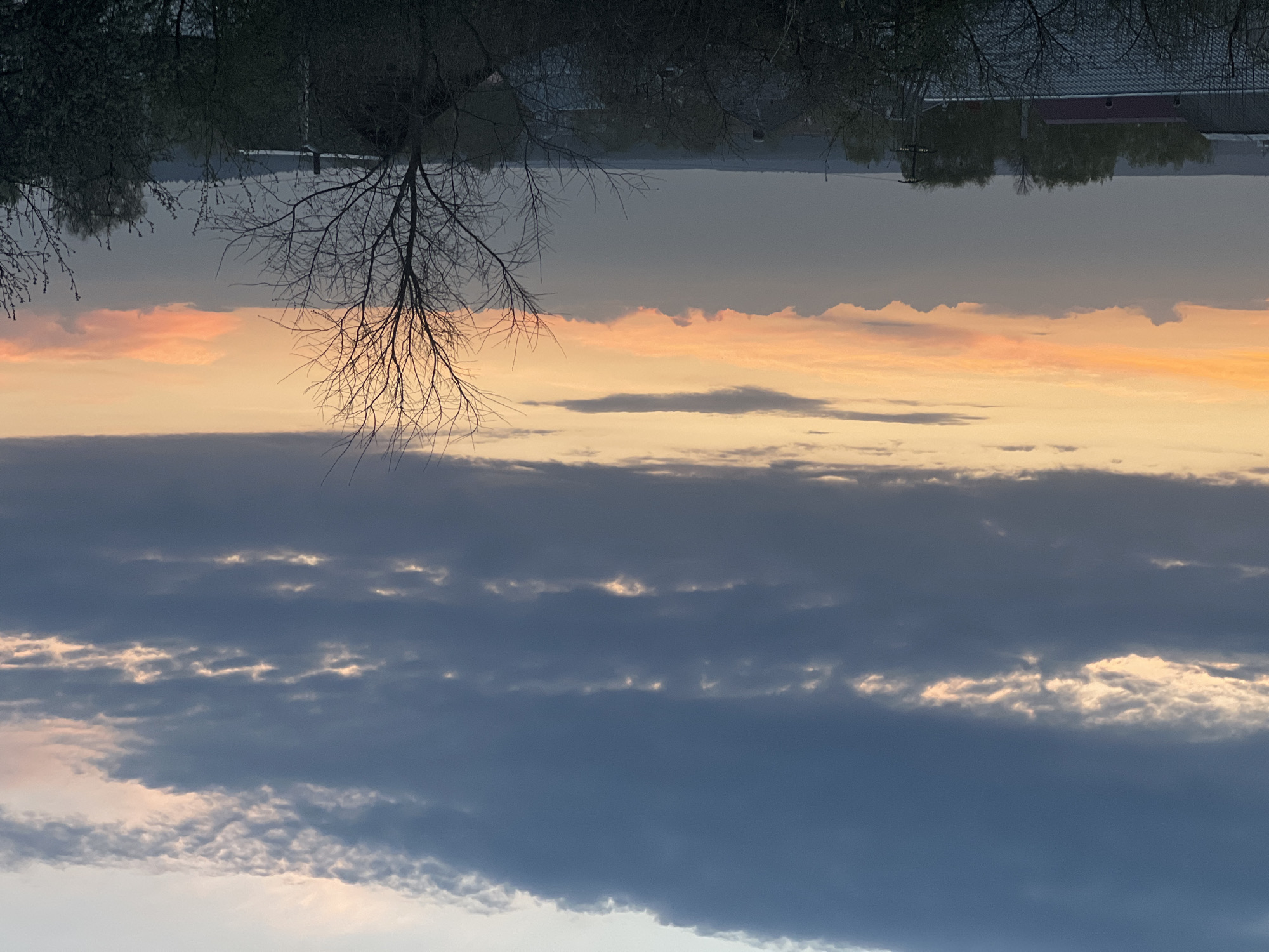 The image depicts a sunset scene with a tree in the foreground. The sky is filled with various cloud formations, colored with orange and gray hues. In the distance, a building and trees are visible, likely reflecting off the water surface. The location is Votkinsk, Russia.