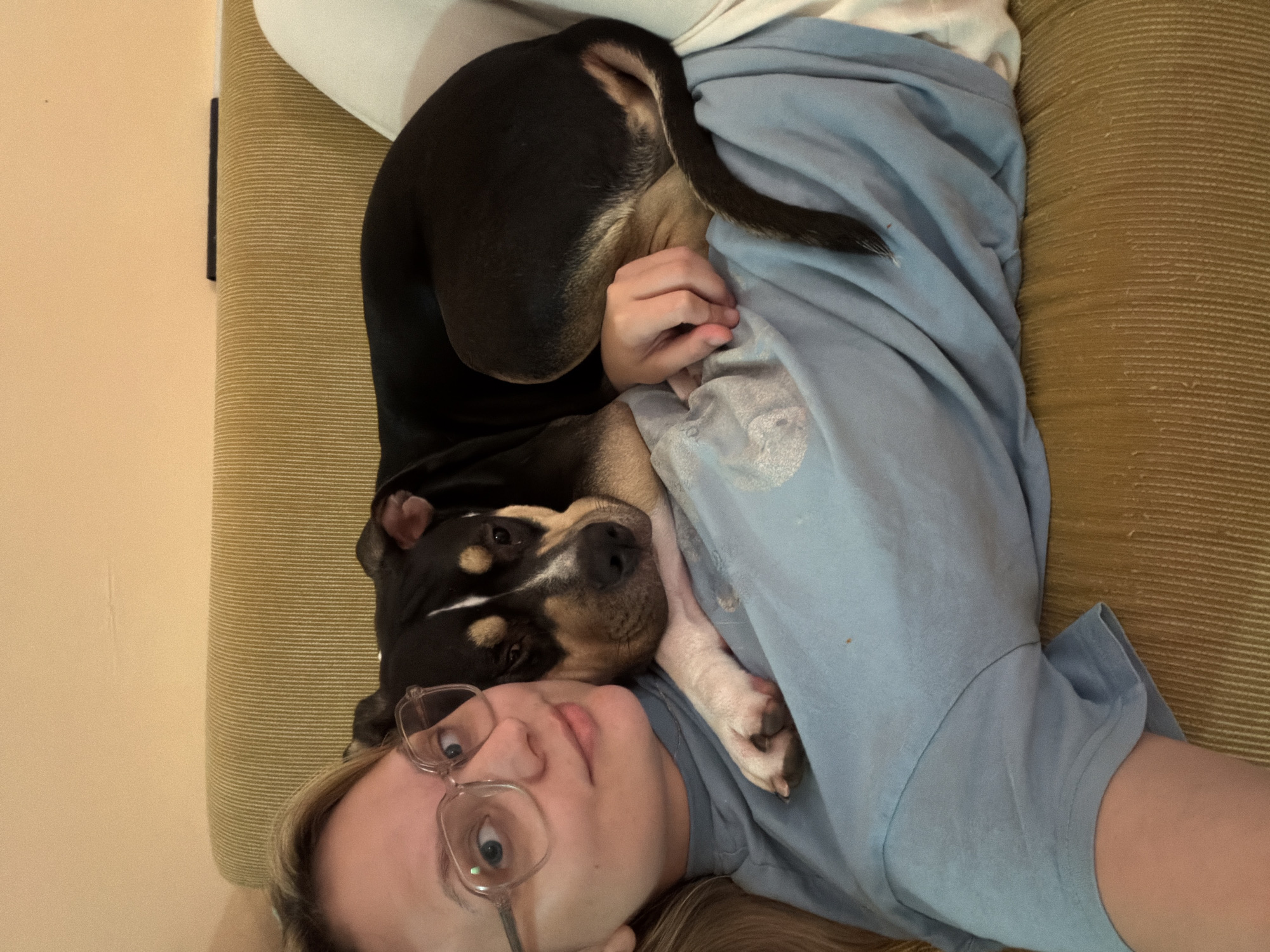 A fair-skinned person with glasses lies on an olive-green textured sofa or cushion, with a dog resting on their chest. The dog is mostly black with tan and white markings on its face and paws. The person is wearing a light blue shirt or blanket. The environment appears to be indoors. There is no visual information to indicate a location within Tel-Aviv, Israel.
