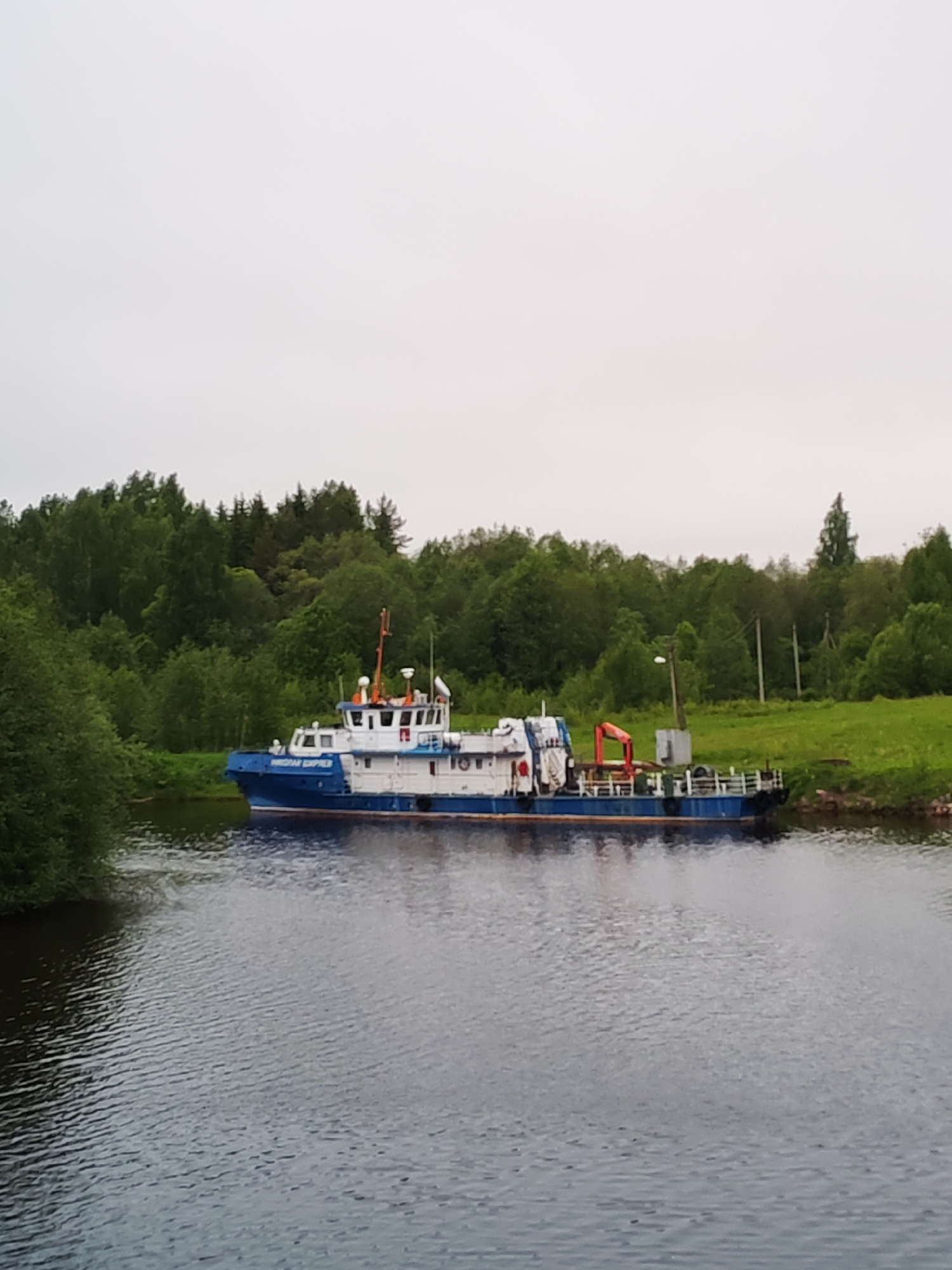 The image depicts a blue and white vessel docked on a waterway, with the backdrop of lush, green trees and an overcast sky. The water is rippled, reflecting the ambient light. The boat appears to be stationary, moored at the edge of the waterway, close to a grassy bank. A utility pole stands on the shore behind the boat. This scene likely takes place in a rural or semi-rural setting, possibly near Devyatiny, Russia.