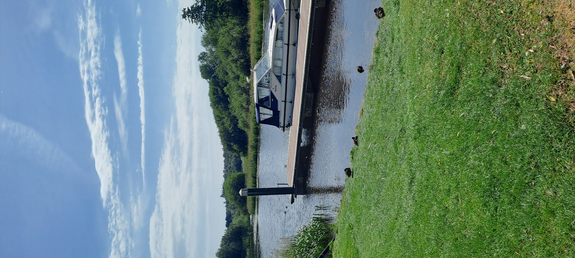 In Enniskillen, United Kingdom, a white and blue motor cruiser is docked at a wooden jetty on a wide river. The boat, with registration number "10334", has a covered seating area at the stern. The riverbank to the left of the jetty is lined with tall green reeds and lush grass. Several ducks are present: two are in the water near the reeds, and four are on the grassed bank in the foreground. In the background, a dense line of green trees borders the river. The sky above is blue with scattered white clouds. The scene captures a peaceful waterside setting on a sunny day.