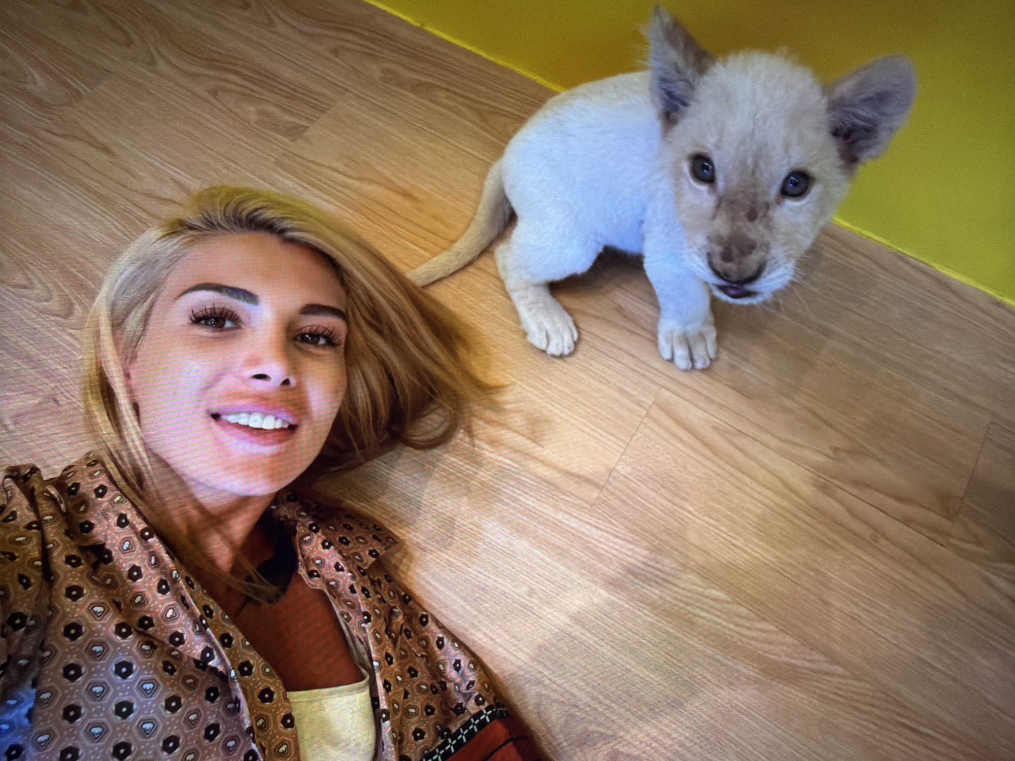 An overhead shot captures a woman lying on a light wooden floor, taking a selfie with a baby lion cub. The woman, with blonde hair and prominent eyebrows, smiles brightly at the camera. She is wearing a patterned brown and black shirt over a light-colored top.
Beside her, a small, white-furred lion cub sits on the wooden floor, also looking towards the camera. The cub has dark eyes and some darker spots around its nose and muzzle. Its ears are perked up.
The background features a bright yellow wall or partition, indicating an indoor setting. The wooden floor planks are clearly visible beneath both subjects. The lighting is bright and even. The overall impression is one of a cheerful and unusual encounter between the woman and the exotic animal. There is no visible text in the image.