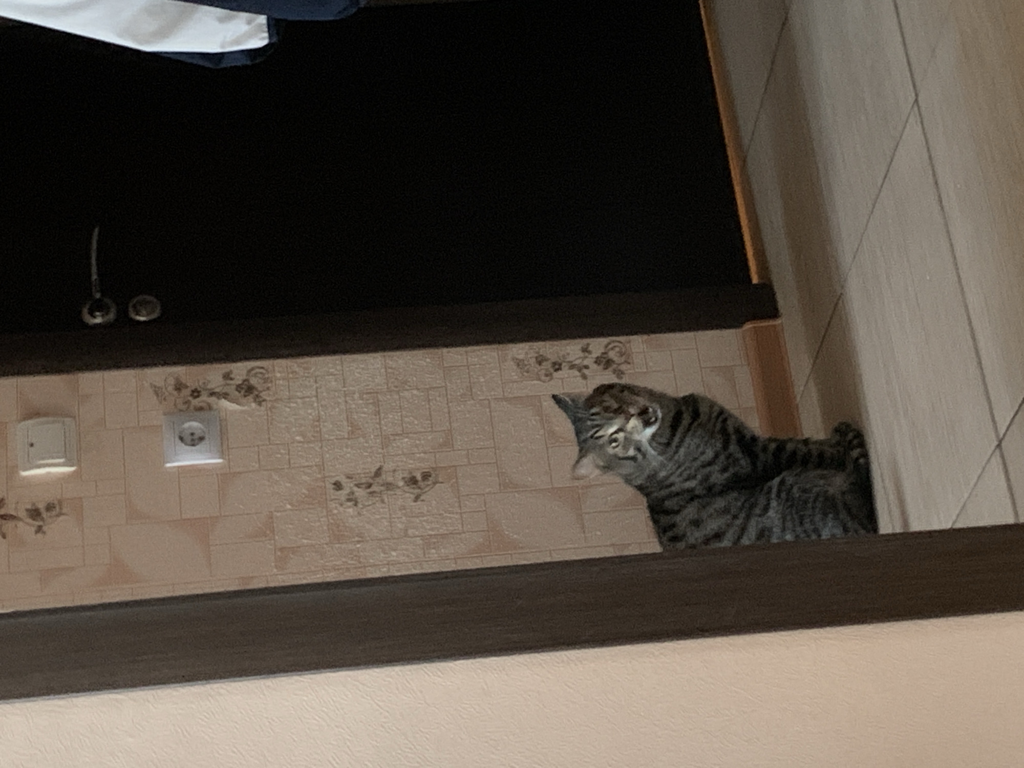 A gray tabby cat sits on a dark brown ledge, looking at the camera. The background is a wall with light brown tiles with a floral pattern. There is a white light switch and a white outlet on the wall. Above the tiled wall is a dark brown surface. Above the dark brown surface is a white and navy blue object. To the right of the cat is a light brown wall with vertical lines.