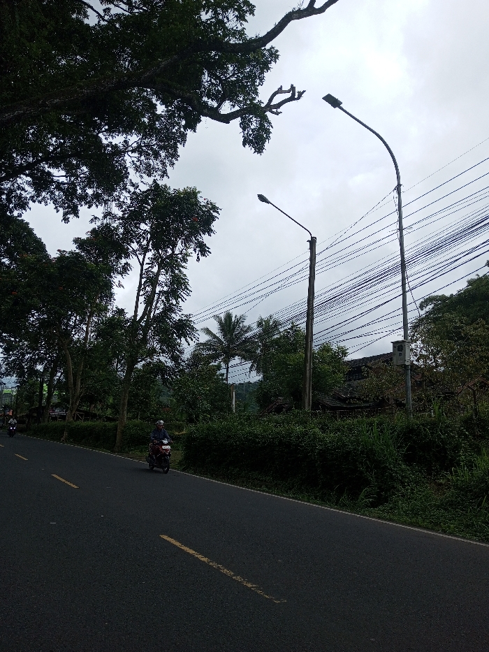 The scene depicts a road in Kodarapalli, India, under an overcast sky. The dark asphalt road features yellow dashed lines. In the mid-ground, a person wearing a helmet and a dark long-sleeved shirt rides a red motorcycle, traveling towards the left. A second motorcycle is visible in the distant left, also moving in the same direction. The left side of the road is flanked by a dense line of tall green trees and undergrowth. On the right, two streetlights with modern LED fixtures are present: one on a concrete pole and a taller one on a metal pole, both supporting multiple horizontal utility wires. A utility box is attached to the taller streetlight pole. Behind the poles, a palm tree and parts of a building with a dark roof are visible, obscured by dense foliage. Distant hills are faintly discernible in the background through the vegetation.