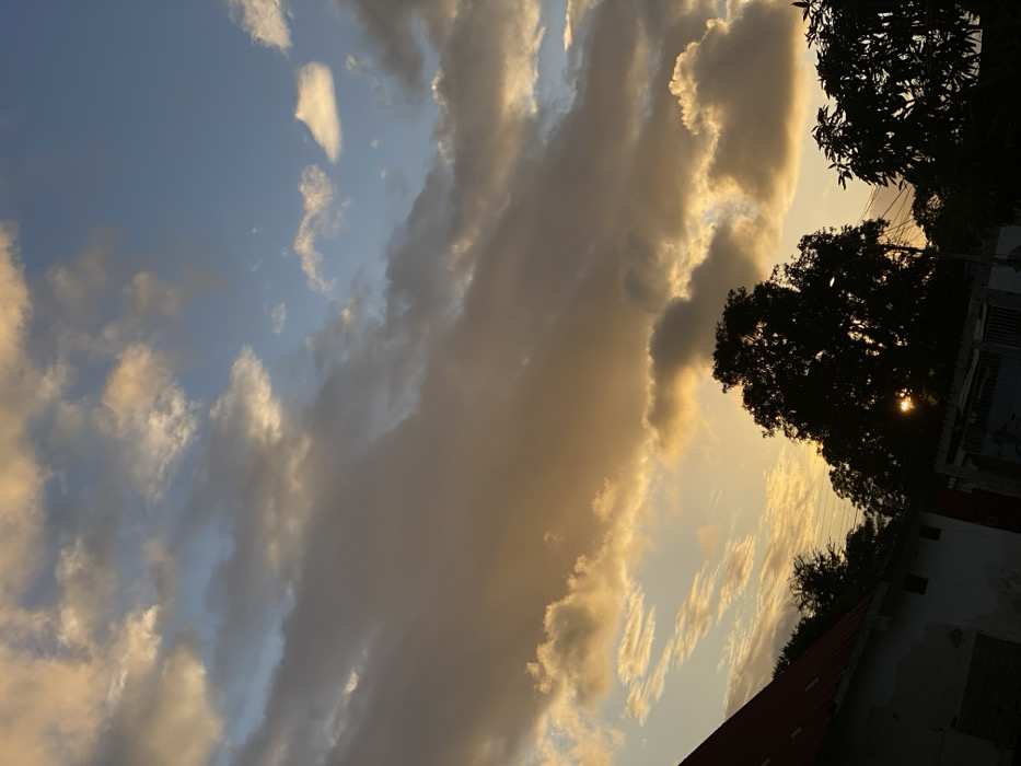 A colorful sunset dominates the image. Clouds stretch diagonally, transitioning from bright yellow to pale blue. Silhouetted trees stand at the upper right, obscuring a golden sun. Below them, the edge of a building with a red roof is visible. The scene evokes a serene and peaceful atmosphere.