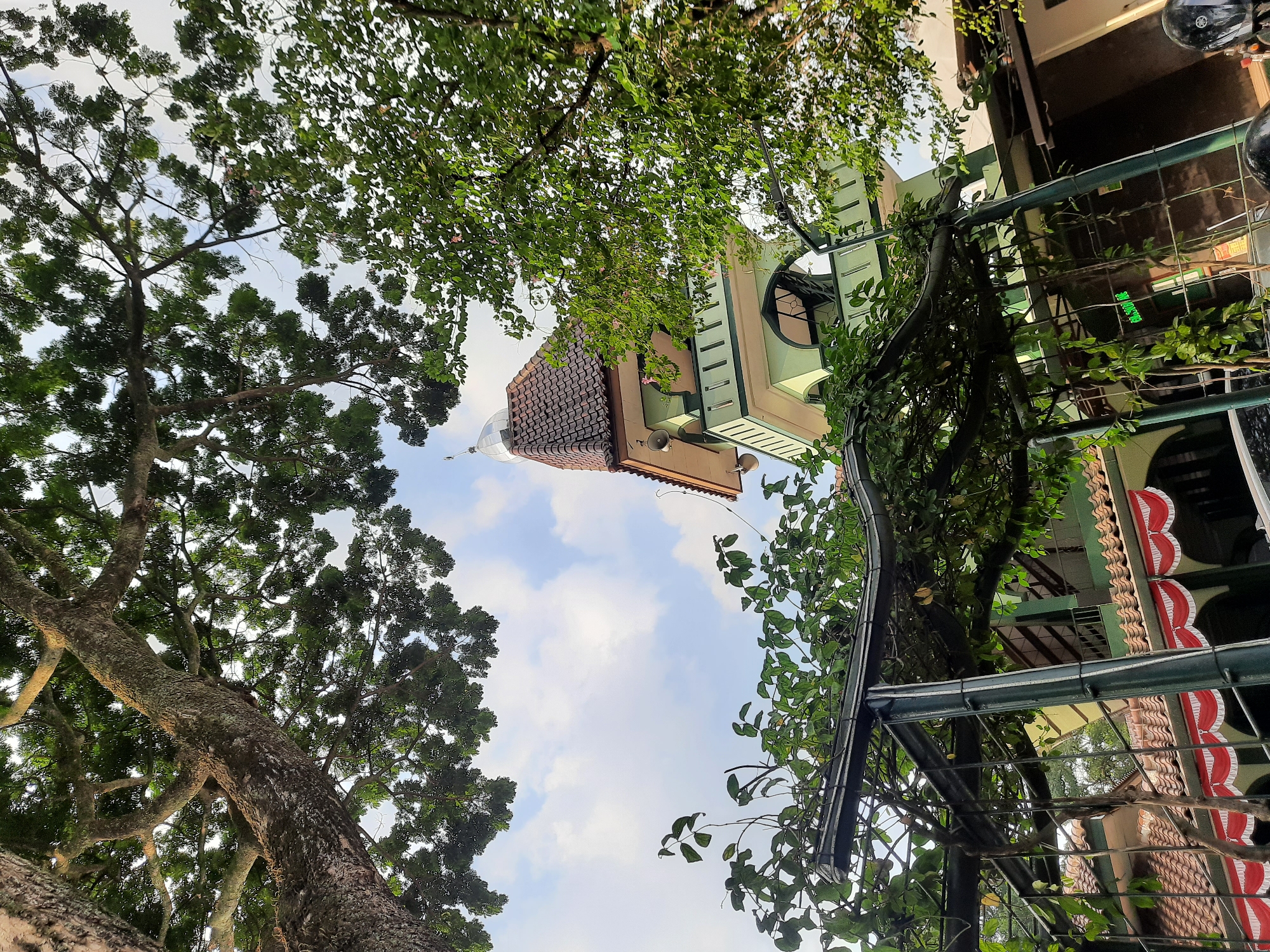 A low-angle, eye-level shot captures a mosque tower and surrounding foliage under a partly cloudy sky. The mosque tower is painted a pale green with white trim and features a domed roof covered in brown tiles, topped with a silver finial. Decorative red and white banners hang beneath the mosque's eaves. A large tree with a thick, gnarled trunk dominates the foreground on the left, its branches and dense green leaves obscuring parts of the sky and the mosque. Another tree with lighter green foliage is visible on the right. A dark green, angular metal structure, possibly a trellis or canopy, is in the middle ground, draped with vines and leaves. The scene appears to be an outdoor setting, likely in a tropical or subtropical climate, given the lush vegetation. There are no people or animals visible in the frame. The overall impression is one of a serene, verdant environment surrounding a place of worship. The image is likely taken in Bandung City, Indonesia, a region known for its mosques and abundant greenery.