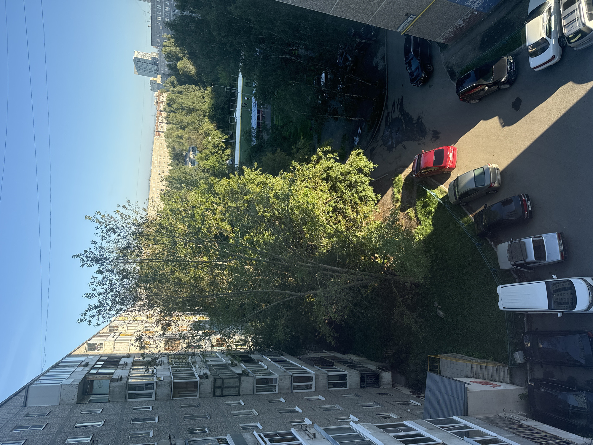The image, taken from a high vantage point, shows a view of a residential area in Unknown, Unknown on a clear day with bright sunlight. In the foreground to the left is the side of a multi-story apartment building, characterized by its grey, concrete facade and rows of balconies. A large, leafy green tree dominates the middle ground, casting shadows on the ground and surrounding buildings. Beyond the tree, a street is visible with several parked cars, including a red sedan, a silver sedan, a black SUV, and a white car. Further in the background, more apartment buildings and trees create a dense urban landscape, with a tall, modern building visible on the horizon. Power lines are strung across the sky. The scene appears to be a typical urban residential setting during daylight hours.