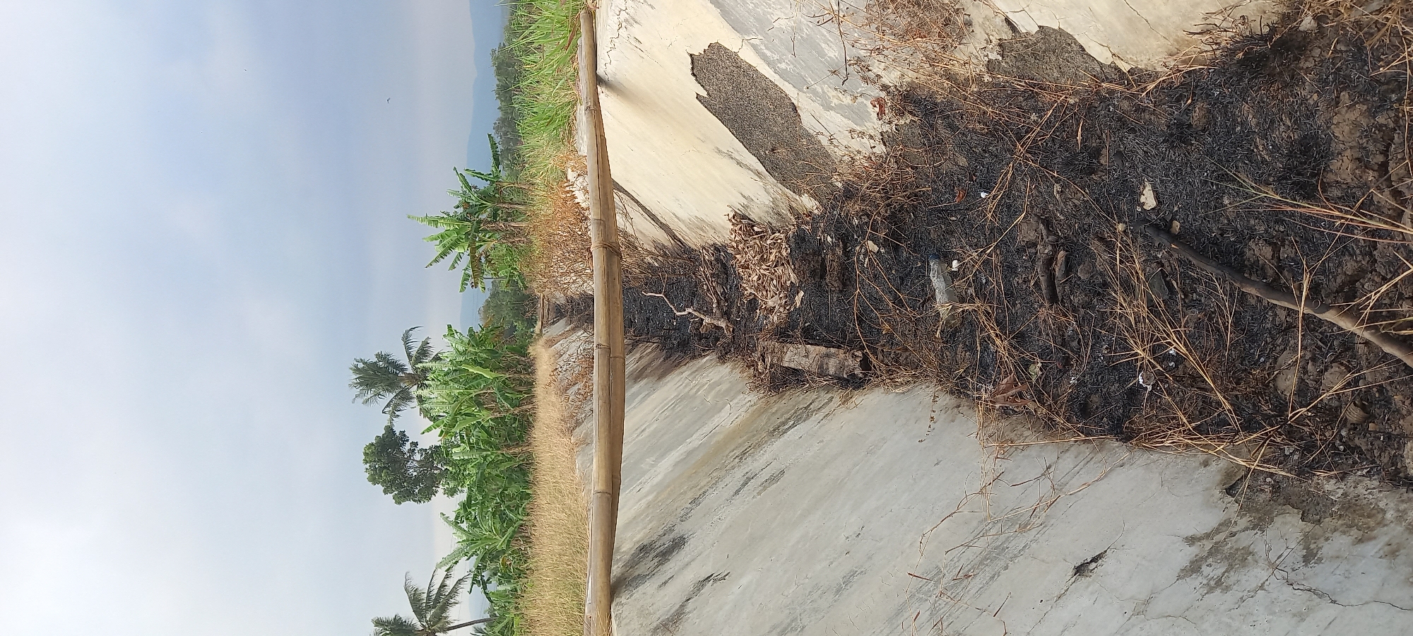 The image depicts a dry, concrete irrigation ditch in Sidamulya, Indonesia, filled with burnt vegetation, ash, and debris. A makeshift bridge constructed from bamboo poles spans the ditch. Beyond the ditch, a line of banana trees and other vegetation is visible, with a hazy mountainous landscape in the distance under a cloudy sky.