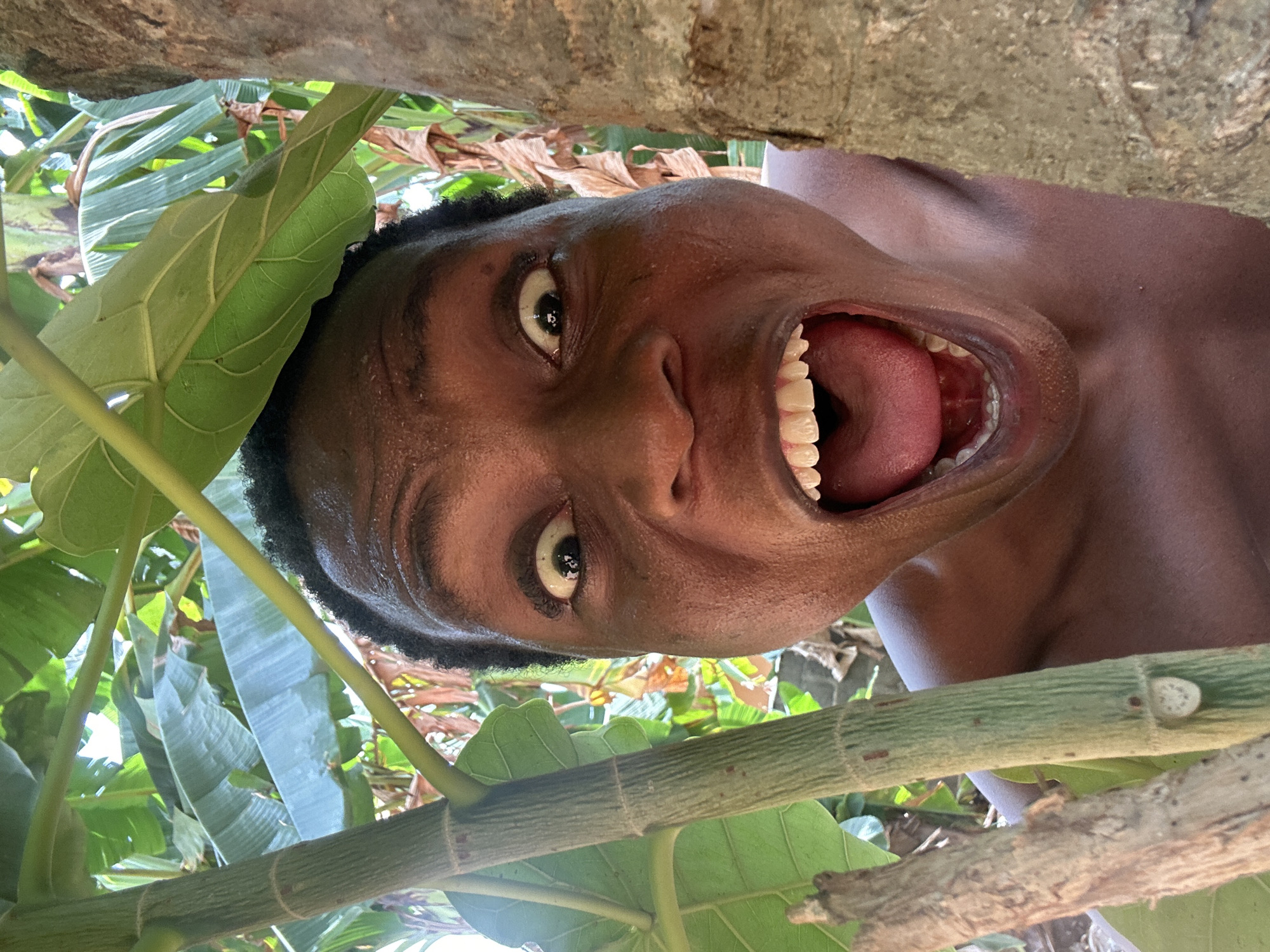 A close-up, low-angle shot of a person's face with their mouth wide open. The person appears to be surrounded by foliage, including large green leaves and branches. A tree trunk is visible in the background. The location is unknown.