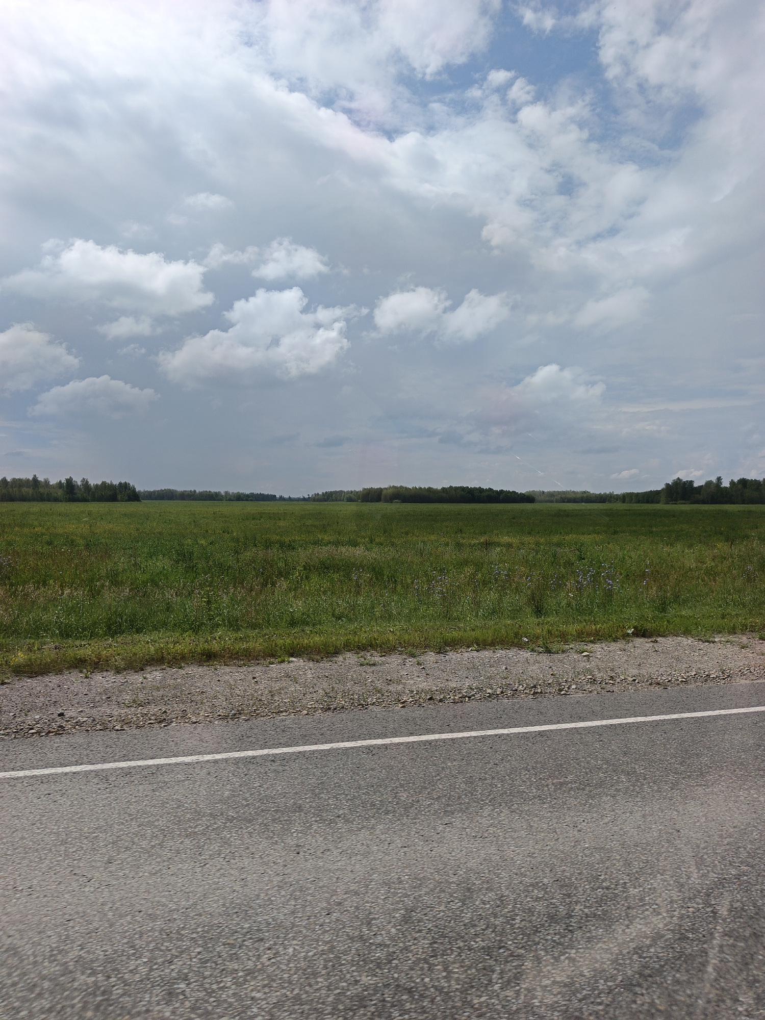 The image depicts a roadside view of a flat, green field under a cloudy sky. In the foreground, a paved road with a white line marking the lane runs horizontally across the bottom of the frame. To the right of the road, a strip of gravel and grass separates it from the field. The field itself is covered in lush green grass and dotted with scattered small purple flowers. A dense line of trees forms a dark green border in the distance, stretching across the horizon. The sky is filled with a mix of white and grey clouds, with patches of blue sky visible between them. There are no people, animals, or vehicles visible in the image. The scene suggests a rural or semi-rural landscape, possibly located outside of a city. Based on the visual evidence, it is not possible to definitively determine the location within Kamensk-Uralsky, Russia.