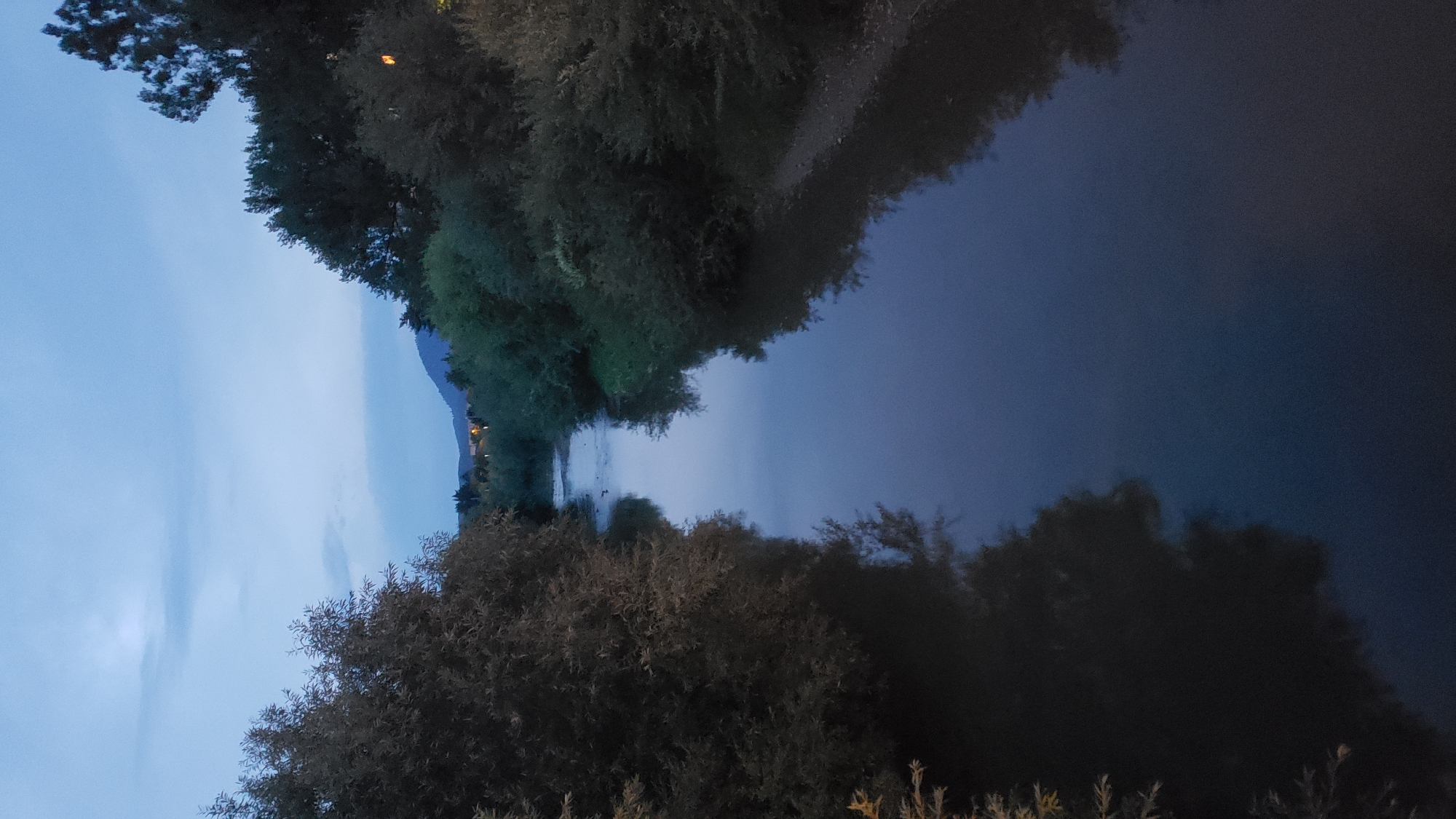 The image depicts a river flowing through a densely vegetated area, likely at dusk or dawn given the soft, ambient light and the deep blue hue of the sky. The river's surface is calm, reflecting the surrounding trees and the twilight sky. The banks are lined with thick foliage, with trees of varying heights and densities dominating the scene. In the distance, a subtle hint of a town or village is visible with a few faint lights suggesting human habitation. The overall atmosphere is serene and natural, with a touch of the quietude of early morning or late evening. This scene could potentially be located along the Torysa river within or on the outskirts of Prešov, Slovakia, a city known for its natural surroundings and waterways.