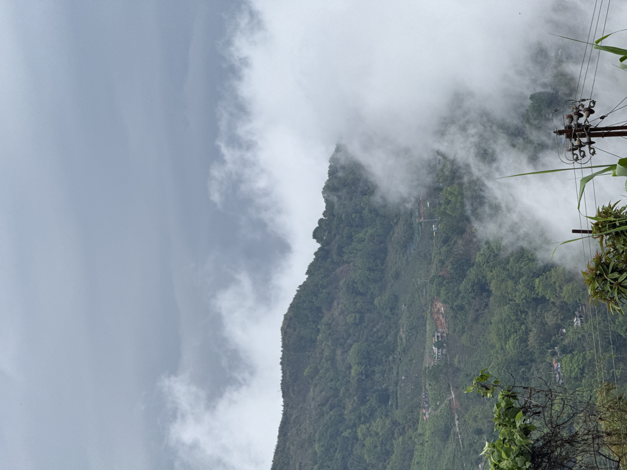The image captures a misty, verdant mountain landscape, likely in Rangli Rangliot, India. A large, densely forested mountain or hill dominates the central and lower left portions of the frame, covered in thick green trees and foliage. Its ridge line is partially obscured by sweeping formations of white and grey clouds and mist, which lend an ethereal quality to the scene.
The sky, visible in the upper left quadrant, is overcast, filled with various shades of grey and white clouds, indicating a cloudy or misty day. The atmospheric conditions suggest a cool, possibly humid climate, characteristic of high-altitude regions.
Scattered across the green mountain slopes, small residential buildings or houses are faintly visible. These structures, some with red or white roofs, appear nestled among the trees, suggesting a community integrated into the hillside environment. Faint tracks or roads can also be seen winding through the vegetation.
In the immediate foreground, on the right side, tall, green grass-like plants and other leafy vegetation frame the view. A rustic, dark brown utility pole with multiple insulators and electrical wires stands prominently on the far right, extending from the top of the frame downwards.
No people are present, and no specific activity is occurring. The image conveys a sense of tranquility and natural beauty, highlighting the coexistence of human settlement with the dramatic mountain and cloud-filled landscape. There is no visible text.