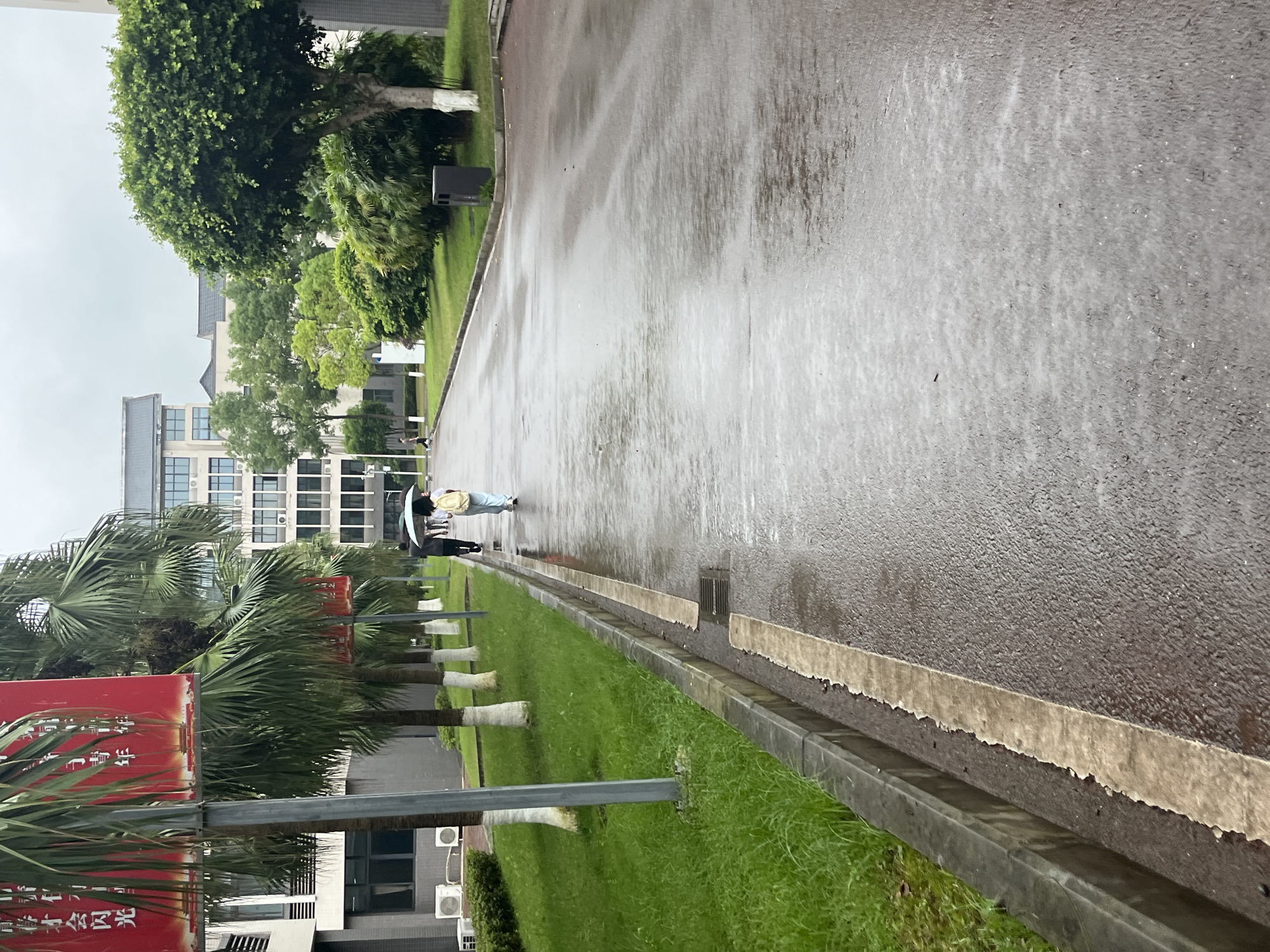 The image depicts a wet asphalt road in front of a modern building, likely a school or university campus, in Jiangjin District, China. The road is lined with lush green grass and palm trees, with a concrete curb separating the grass from the road. Two individuals are walking on the wet road; one, in the foreground, is holding a light blue umbrella over their head, and the other, further ahead, is walking away from the camera without an umbrella. The building behind the trees appears to be multi-story with numerous windows, and the sky is overcast, suggesting recent or ongoing rain. Air conditioning units are visible mounted on the side of the building. Red banners with Chinese characters are displayed on poles near the palm trees. A dark trash receptacle is located near the larger tree on the right side of the image. The overall scene is that of an outdoor campus environment during a rainy day.
