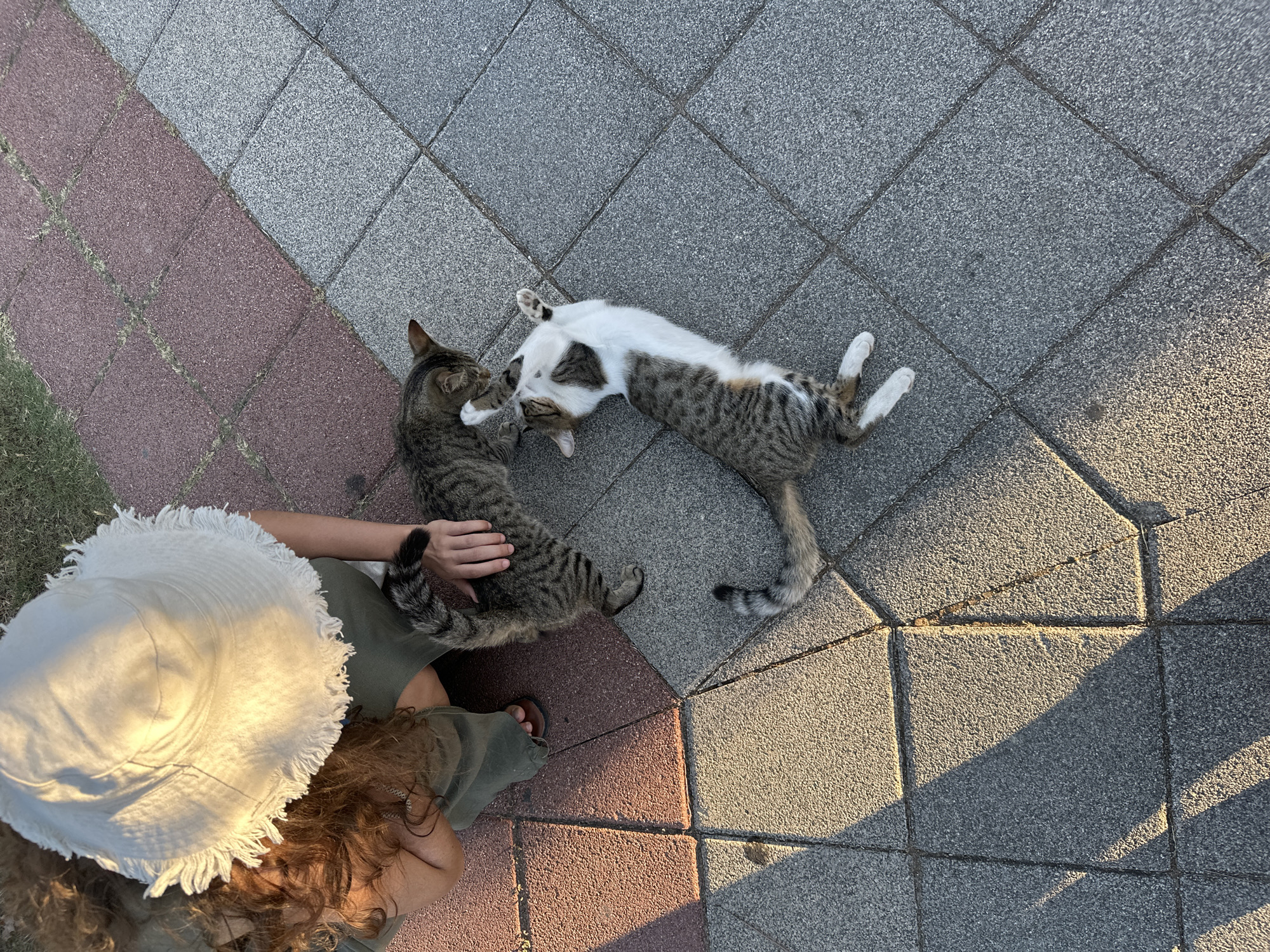 An overhead shot captures a peaceful scene in Fethiye, Turkey, during the golden hour. A person, viewed from above, is seen petting a tabby cat. The person wears a wide-brimmed white hat with a fringed edge, a green dress or top, and sandals. Next to the first cat, a second cat, predominantly white with tabby patches, lies on its back, playfully interacting with the tabby cat. The ground beneath them is a mosaic of square paving stones, divided diagonally between grey and reddish-brown sections, with a small patch of grass visible on the left. Long shadows cast by the low sun indicate late afternoon or early evening, creating a warm, soft light across the scene. No visible text is present in the image.