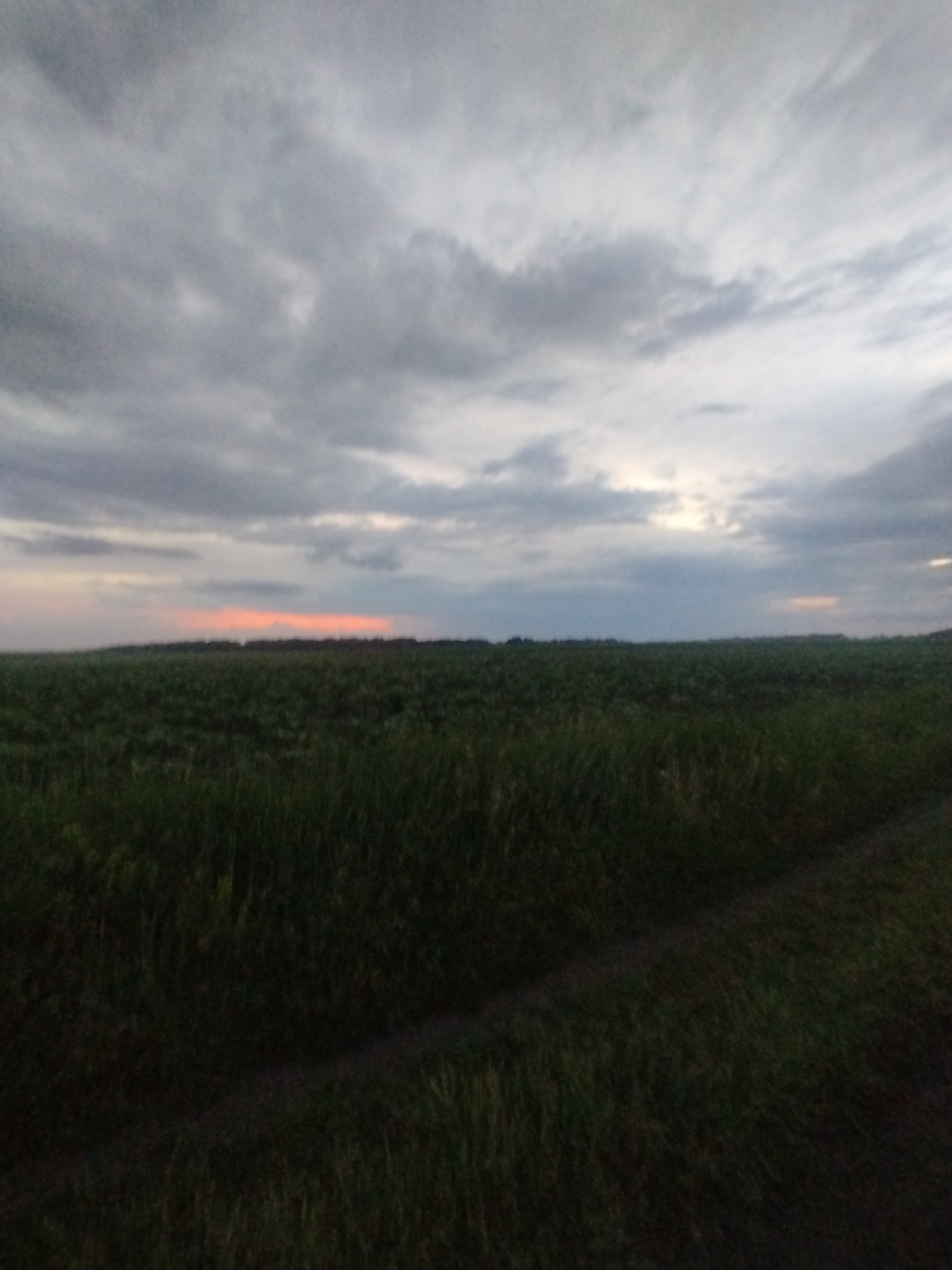 An outdoor shot captures a twilight sky over a field. The sky is filled with a dense layer of gray clouds, with a thin band of orange visible on the horizon, suggesting the sun is setting. Below the sky, a vast, dark field stretches across the frame. The field appears to be covered in vegetation, possibly tall grass or crops, which are mostly obscured by shadow. A subtle, darker pathway or track cuts diagonally through the field from the lower right corner towards the center. The overall impression is one of a serene, natural landscape at the end of the day.