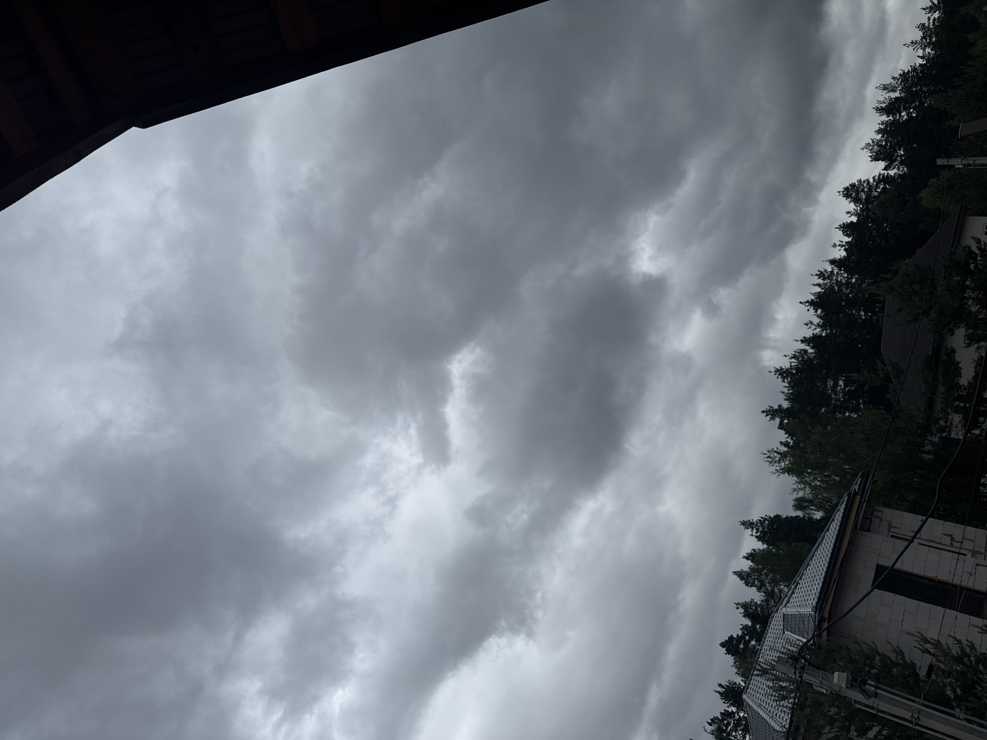 This is a vertical, low-angle shot of a cloudy sky over a forested area and a partially constructed building, taken in Protasovo, Russia. The sky is filled with heavy, dark grey clouds, suggesting overcast or stormy weather. The time of day is not clearly discernible due to the cloud cover, but it appears to be daytime.
In the foreground, a dark, wooden structure, possibly an overhang or roof, occupies the upper left corner. The middle and right portions of the image are dominated by the dense, dark green canopy of coniferous trees, stretching along a diagonal line from the mid-right to the top right.
Below the trees, a portion of a building is visible. It appears to be under construction, with grey concrete blocks forming its walls and a dark grey, patterned roof. The roof has a modern, tiled appearance. Power lines and utility poles are also visible in front of the building and trees, indicating a semi-rural or suburban setting.
There are no people visible in the image, and no text is present. The overall mood is somber and perhaps a little dramatic, due to the dark clouds and the unfinished state of the building.