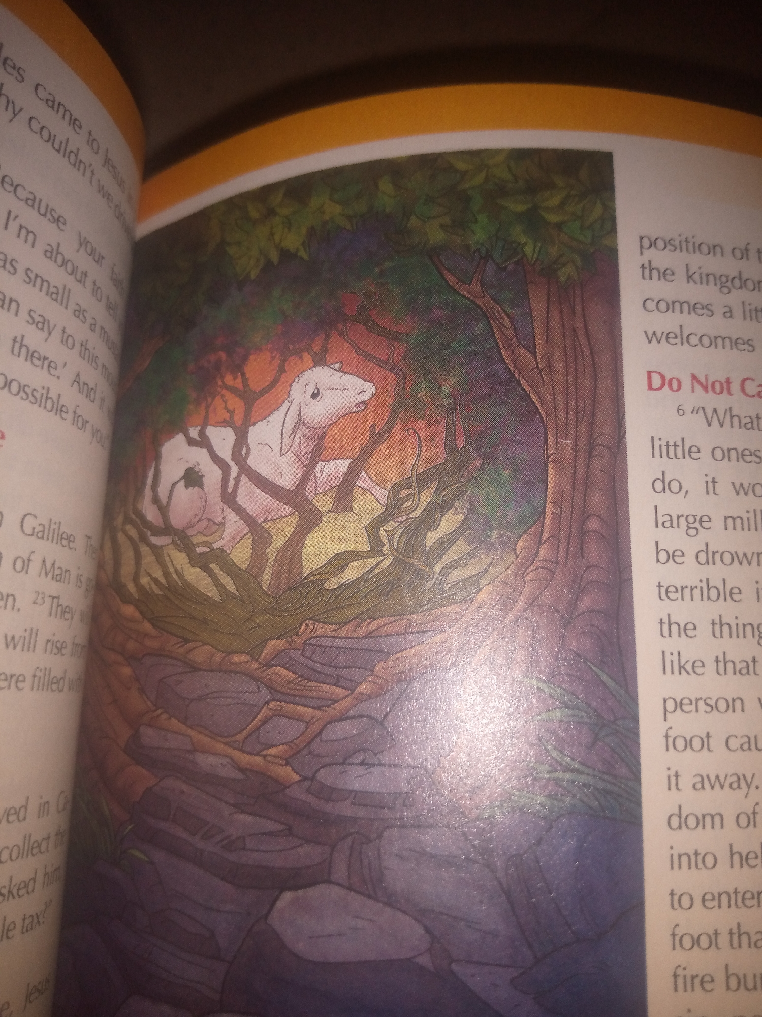 This image depicts an open book with text and an illustration. The illustration shows a white sheep-like creature standing among trees and rocks. The text on the left side of the book describes a narrative, mentioning Galilee, the Son of Man, and questions related to taxes. The text on the right side is in a different font and color, with a heading "Do Not Ca" in red. It includes a quote, "What," followed by text describing "little ones," "large mill," and a "terrible." The environmental context of Jauro Yinu, Nigeria, is not present in the image.