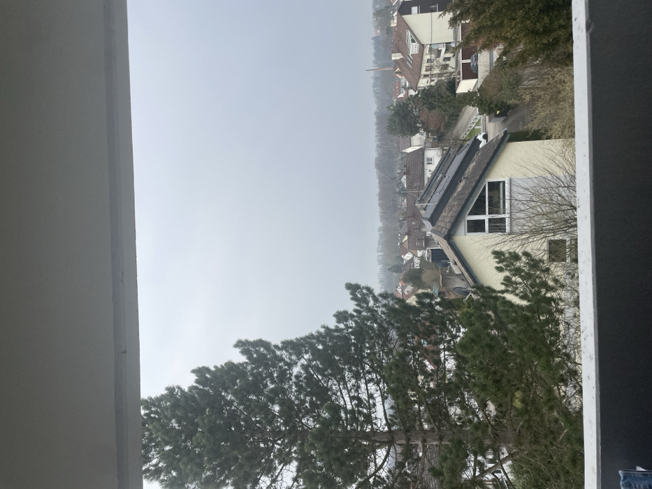 An elevated view from an unknown structure overlooks a residential area in Senden, Germany, under a uniformly overcast, light gray sky. The foreground features a dark gray balcony railing with a white upper edge, which horizontally bisects the lower portion of the image. A white overhead structure is visible at the very top of the frame.
To the left, a large, dark green evergreen tree with a prominent trunk stands, its foliage filling a significant portion of the left midground and extending towards the top. Below and to the right of the tree, several residential houses with pitched roofs are visible. The most prominent house in the midground has light cream-colored walls, a dark gray pitched roof, and a visible array of dark rectangular solar panels installed on one roof section. This house features a large, multi-paned window with a distinct triangular top section on its main facade.
Bare deciduous trees and bushes are interspersed throughout the residential landscape. A narrow, winding paved road is visible between the houses, and a white vehicle is partially discernible parked on or near this road. In the background, the residential area continues, gradually fading into a dense line of leafless trees forming a distant forest horizon. A tall, slender brick industrial chimney rises vertically above the distant treetops in the far right background. No individuals or specific actions are discernible within the frame.