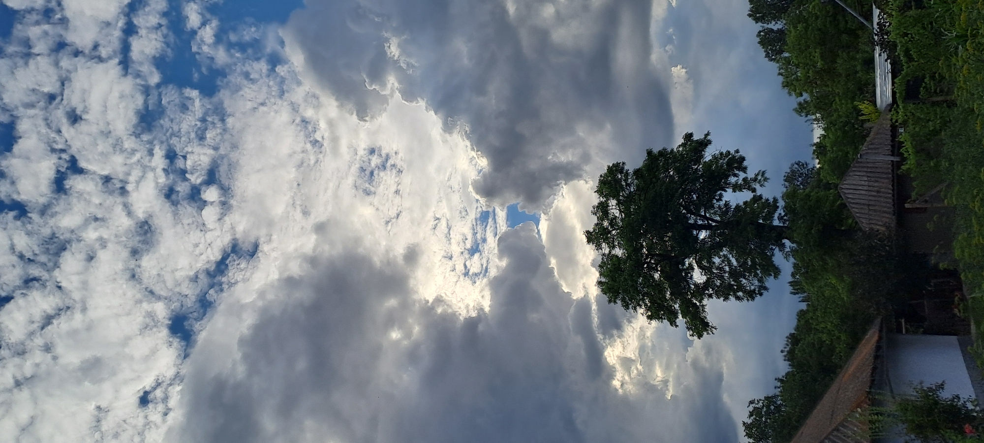 This is a vertical, eye-level shot of a village scene in Rădoaia, Moldova, dominated by a dramatic sky. The upper two-thirds of the image are filled with a turbulent sky featuring a mix of dark, heavy clouds and bright, white, cumulus clouds with patches of blue sky visible between them. A single, mature, deciduous tree with a full green canopy stands prominently in the center of the frame, silhouetted against the brighter sections of the sky. Below the tree, the lower third of the image depicts the village landscape. Two small, rustic structures with weathered, gray, pitched roofs are partially visible on the right and left sides, nestled amongst dense, green foliage and trees. The overall impression is one of an overcast, possibly pre-storm, day in a rural setting.