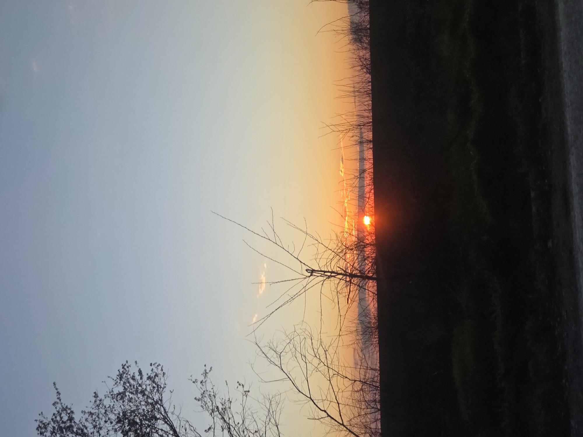 The image depicts a sunset over what appears to be a landscape near Koilovtsi, Bulgaria. The sky transitions from a pale blue to orange and red near the horizon, where the sun is setting. Silhouetted trees and branches are visible in the foreground. To the right of the image is a dark, undefined area that could be a field or a structure.