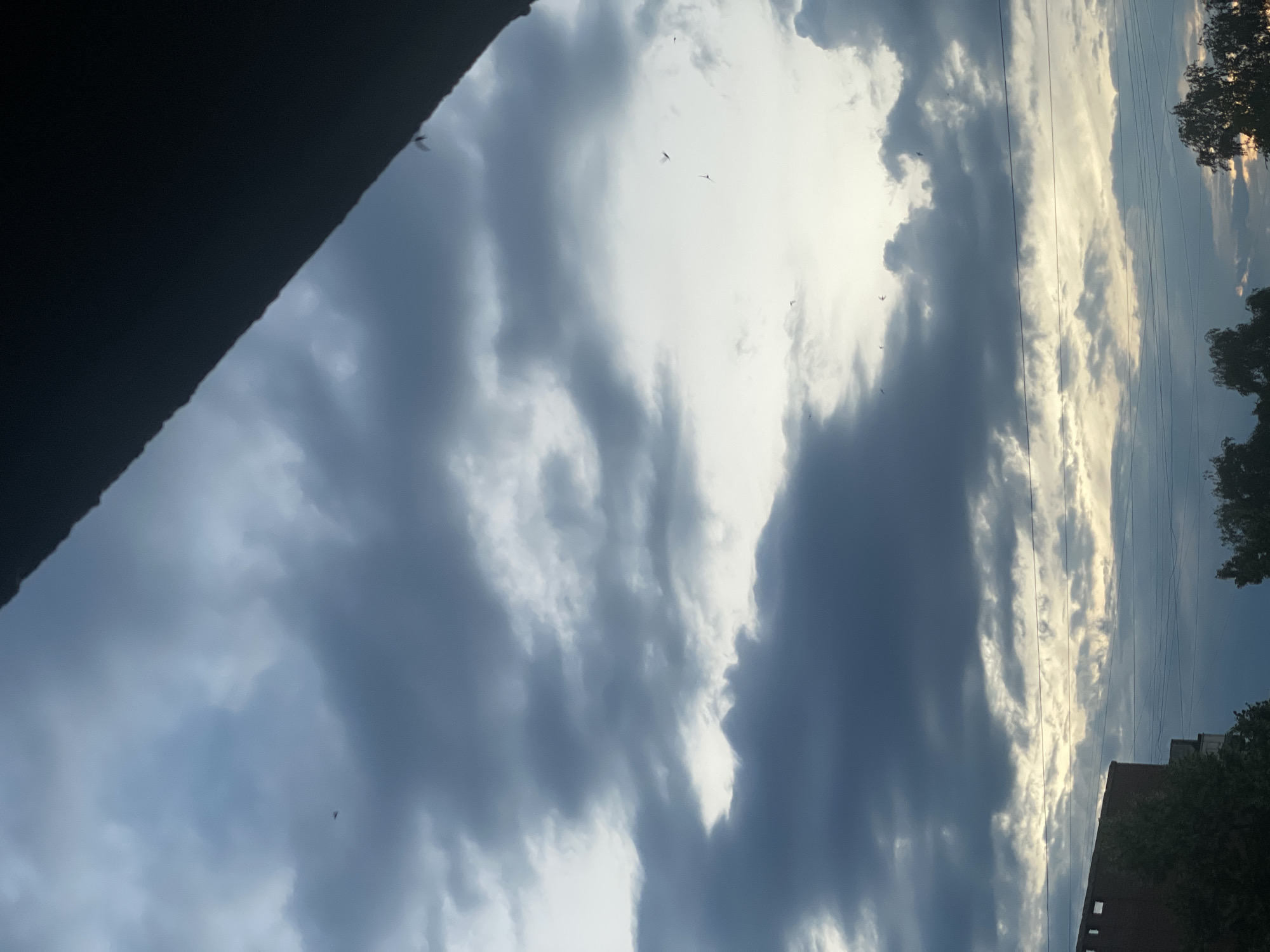 The image depicts a cloudy sky at what appears to be dusk or dawn, with a dark, angular structure in the upper right corner, possibly a building overhang. Below the sky, the tops of trees and buildings are visible, along with a network of utility wires stretching horizontally across the frame. Several small, dark specks, likely birds, are scattered throughout the sky. The overall lighting suggests an outdoor, urban environment.