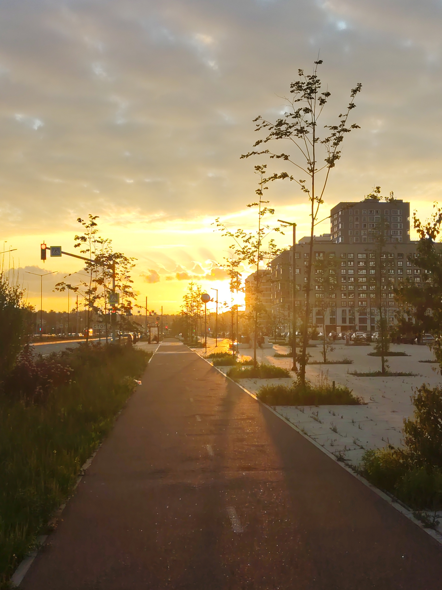 This is a vertical, eye-level, medium shot of a pedestrian and bicycle path alongside a road at sunset in Yekaterinburg, Russia. The path is paved with asphalt and illuminated by the warm glow of the setting sun, which casts long shadows and creates a hazy atmosphere. The sky is filled with dramatic, cloud-streaked orange and yellow hues.
On the left side of the path, a grassy embankment rises, dotted with sparse trees and bushes. In the distance, a traffic light shows a red signal, and a pedestrian crossing sign is visible. Cars are driving on the road, their headlights on.
To the right of the path, a paved area with scattered young trees and patchy grass leads towards a cluster of modern apartment buildings. These buildings are tall and grey, with numerous windows reflecting the sunset light. The overall scene suggests an urban environment undergoing development, with a blend of natural elements and man-made structures.