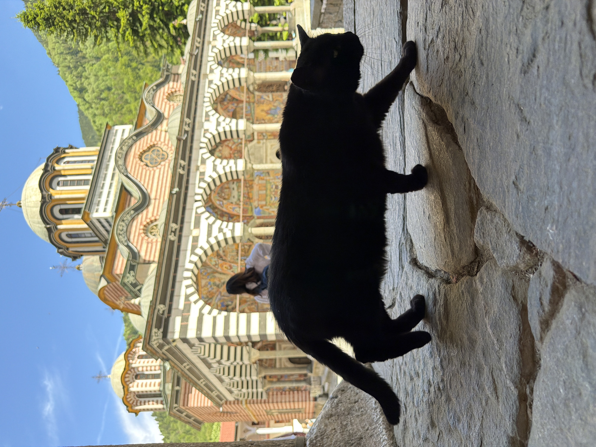 A medium, outdoor, eye-level shot captures a black cat climbing a gray stone wall adjacent to the Rila Monastery in Rilski Manastir, Bulgaria. The cat faces right, with its paws gripping the wall. Behind the cat, the monastery's distinct architecture is visible, featuring arched windows, striped columns, and a dome topped with a cross. The sky is blue with some wispy clouds. A blurred figure of a person is visible in the background near the monastery. Green trees are visible above the monastery.