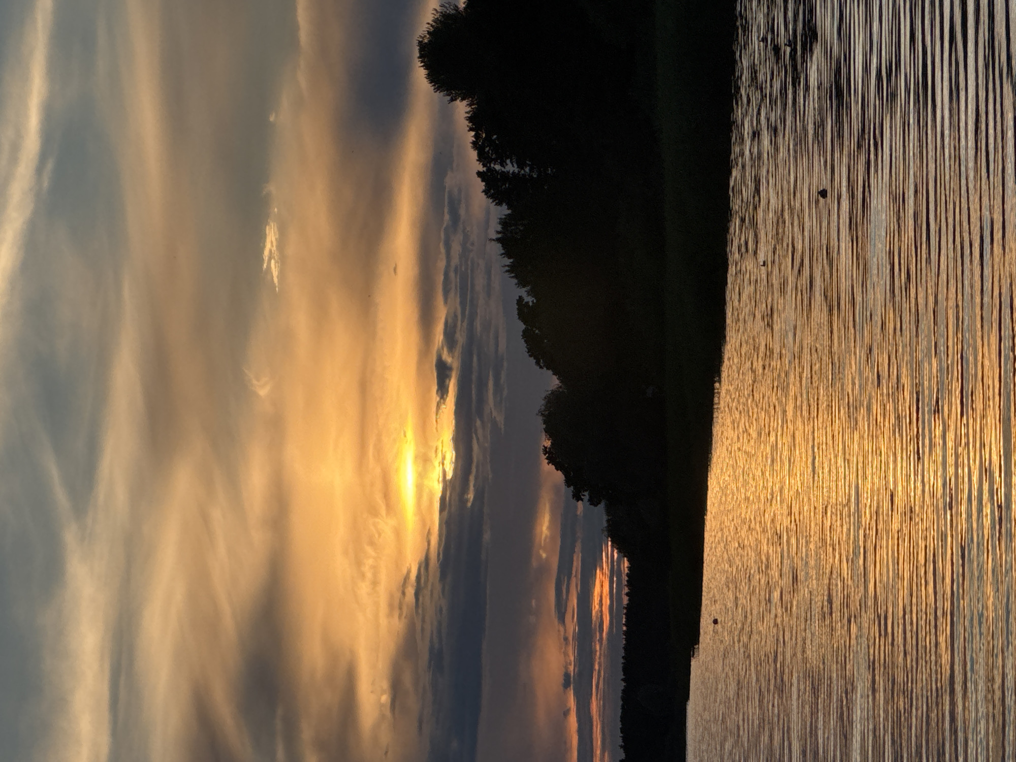This is a vertical, medium shot of a sunset over a body of water. The sky is filled with dramatic clouds, tinted with shades of orange, yellow, and gray, illuminated by the setting sun. A dark, silhouetted tree line forms a horizontal band across the mid-ground. The foreground is dominated by the reflective surface of the water, its texture emphasized by the ripples catching the sunset's golden light. The scene appears to be a natural landscape, possibly a lake or a slow-moving river, with no discernible urban features or specific landmarks identifying it as being located in Tallinn, Estonia. There are no people visible in the image, and the only signs of wildlife are a few small dark shapes in the water, likely birds. The overall mood is serene and atmospheric.