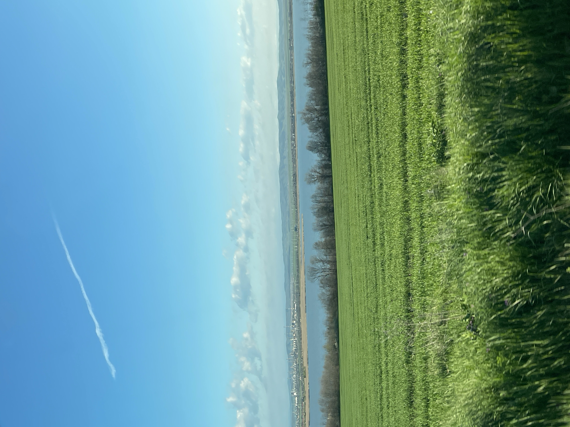 The image depicts a landscape with three distinct sections: a bright blue sky with a white contrail, a body of water bordered by a cityscape and a strip of trees, and a green field. The water appears to reflect the sky and the cityscape. Based on the presence of the cityscape along the water's edge and the general landscape, it is plausible that this image was taken near Burgas, Bulgaria, which lies along the Black Sea coast. The green field suggests an agricultural area near the city. The cityscape includes structures that appear industrial in nature.