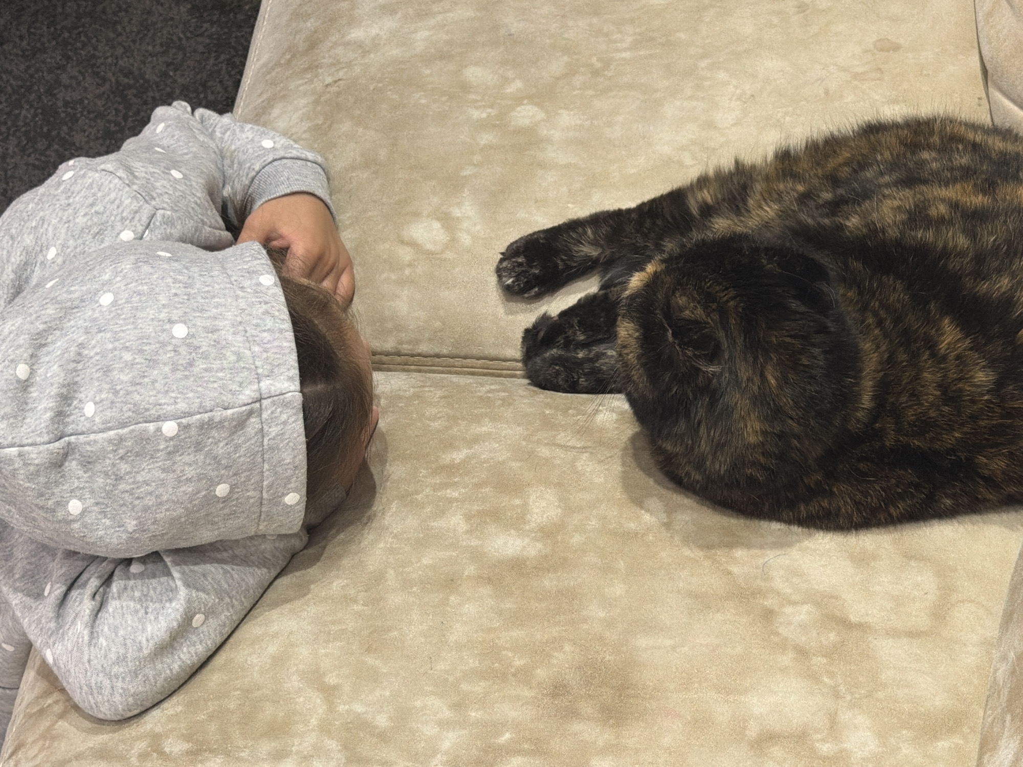 The image displays a child and a cat resting peacefully on a light-colored, textured sofa or large cushion in an indoor setting.
On the left, a child is lying on their side, with their head facing towards the right. They are wearing a grey hooded jumpsuit adorned with white polka dots. Only the back of their head and part of their arm, bent at the elbow, are visible.
Opposite the child, on the right side of the image, lies a cat with a striking tortoiseshell or brindle-like fur pattern, featuring a mix of dark brown, black, and lighter brown or ginger patches. The cat's body is curled, and its head also faces towards the child. One of the cat's paws is visible, extending forward.
Both the child and the cat appear to be sleeping or deeply relaxed, creating a serene and intimate scene of companionship. The surface they are resting on is a soft, light beige or cream-colored fabric, possibly velvet or suede, which shows some subtle variations in texture and minor discoloration. The lighting suggests an indoor, calm environment, likely within a home. There is no visible text in the image. The location context for this scene is Chaikovsky, Russia.