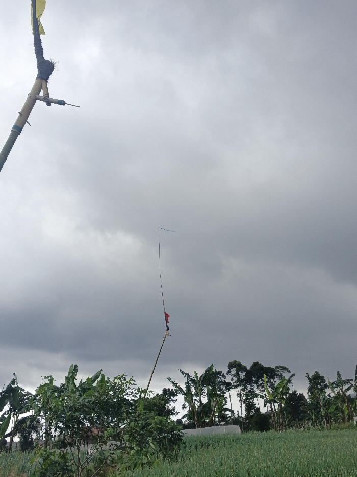 The image depicts an agricultural landscape in Ngọc Tụ, Vietnam, under a heavily overcast sky dominated by dark grey clouds. In the far left foreground, a section of a large bamboo pole extends vertically out of frame, featuring a dark wrapped material and a small, faded yellow fabric flag attached near its visible top. Below this flag, a white PVC pipe fitting with an attached horizontal metal rod protrudes from the pole. Centrally positioned in the midground, a second, slender pole, likely bamboo, stands upright, displaying white horizontal stripes and a small red piece of fabric tied approximately one-third up from its visible base. Near the top of this pole, a small blue rectangular object is affixed horizontally. The lower half of the frame reveals a cultivated field of dense, vibrant green, vertical plants, consistent with a scallion or onion crop, spanning the right side. To the left and center, various tall trees, including prominent banana trees with broad green leaves, are visible. A low-lying, elongated white structure, resembling a greenhouse or crop cover, is situated in the background behind the cultivated field. No human figures are present.