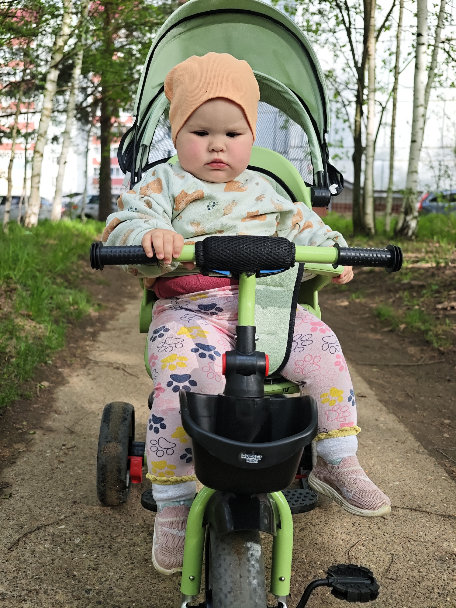 A young child sits on a green tricycle on a paved path, likely in a park or green area. The child wears a peach-colored hat, a light green patterned sweatshirt, and pink leggings with paw prints. The tricycle has a black basket in front and a light green canopy. The background features trees, including birch trees with white bark, suggesting a forested or park area. Buildings are visible in the distance. The location is Chaikovsky, Russia.