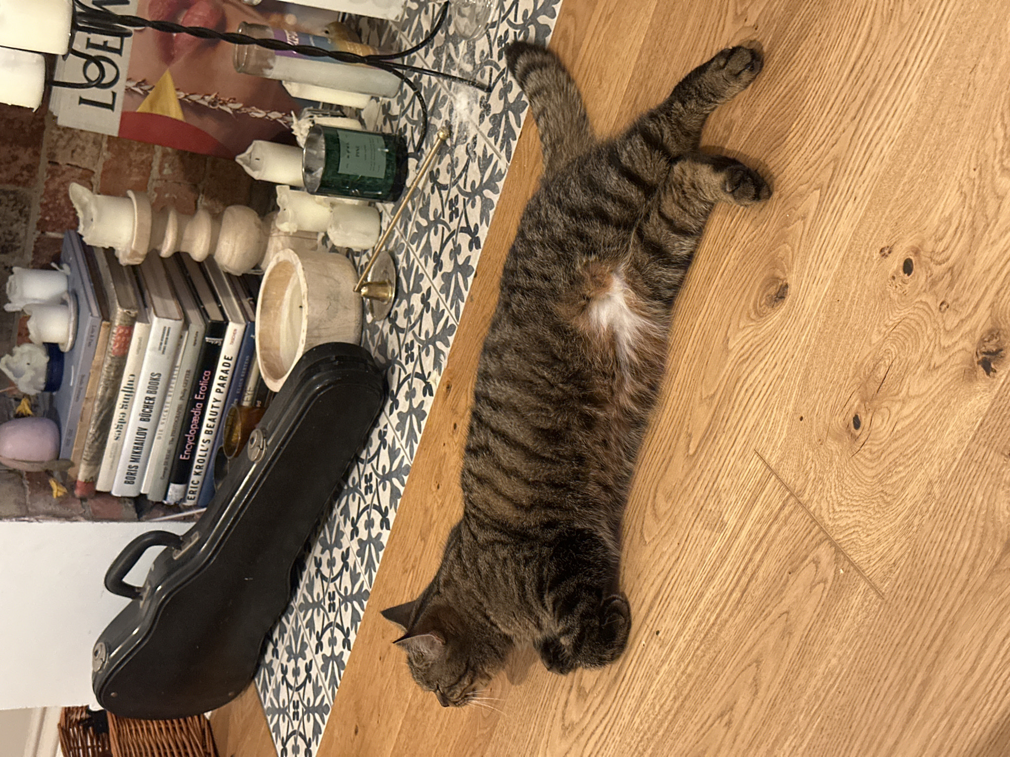 The image depicts a tabby cat lying on a wooden floor. The cat is stretched out with its front paws extended forward. To the left of the cat is a shelf with books, candles, and a black instrument case, possibly for a violin. The books have titles such as "BORIS MIKHAILOV BÜCHER BOOKS", "Encyclopædia Erotica", and "ERIC KROLL'S BEAUTY PARADE". The shelf is decorated with blue and white patterned tiles. The style of the interior suggests a residential setting, possibly a home in the city of Folkestone and Hythe District, United Kingdom.