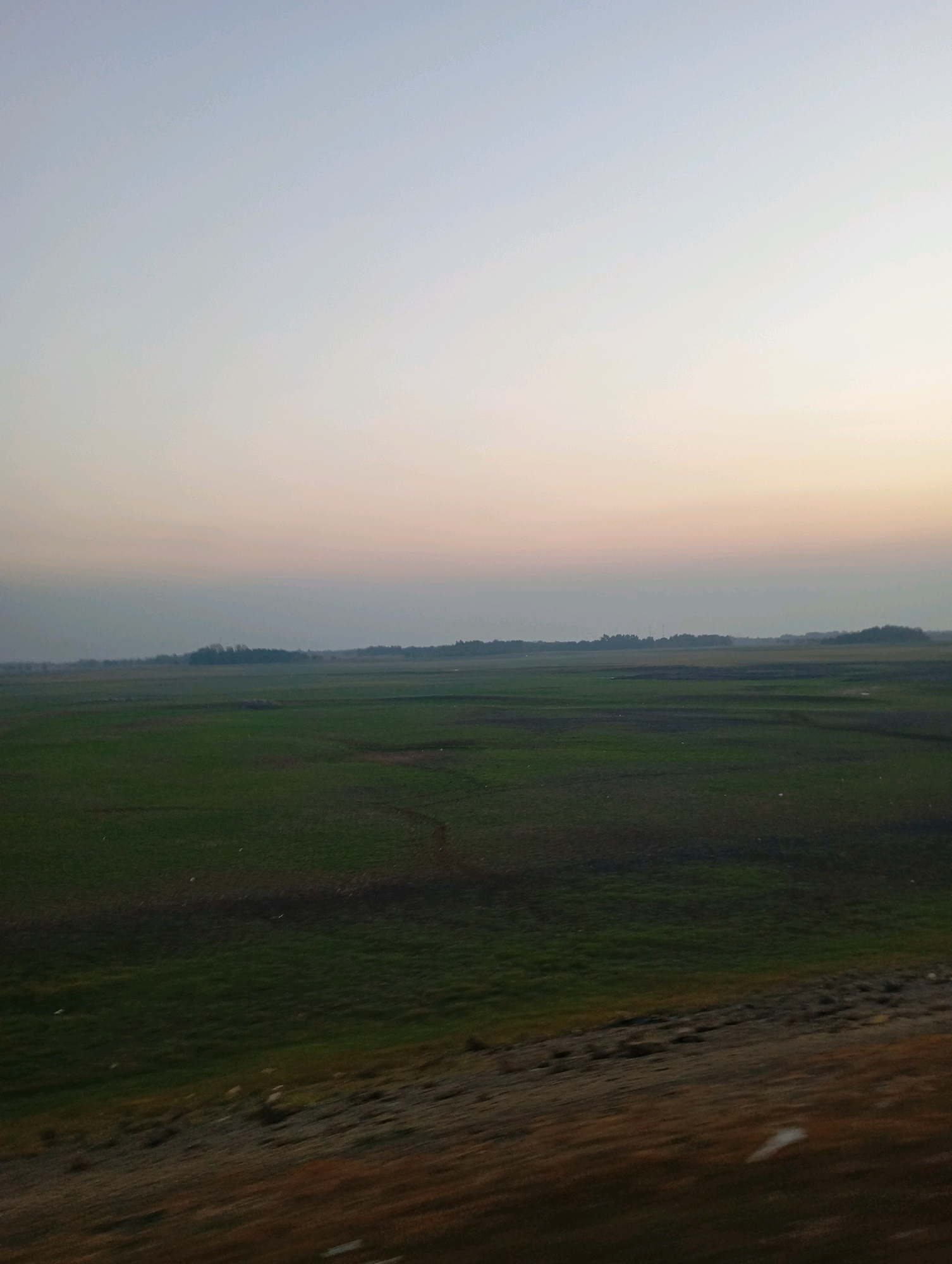 The image depicts a vast, open landscape under a pale, gradient sky that transitions from light blue to a soft pinkish-orange hue, suggesting either dawn or dusk. The foreground is dominated by a rough, textured embankment with brown and reddish-brown tones, indicating dry earth or possibly weathered rock. This embankment slopes upwards and to the right, creating a sense of depth and perspective.
Beyond the embankment lies a large, flat expanse of green fields, likely farmland or pasture, divided by subtle variations in color and texture that suggest cultivation or natural undulations. The fields are a deep, rich green in some areas and a darker, almost shadow-like green in others, with faint lines or paths visible within them. In the distance, a dense line of trees forms a dark horizon, with a few taller, more prominent trees or clusters of vegetation rising slightly above the rest. The overall atmosphere is serene and expansive, with a sense of quietude and natural beauty. No people or specific structures are discernible within the landscape. The location is Haurkolot, Indonesia.