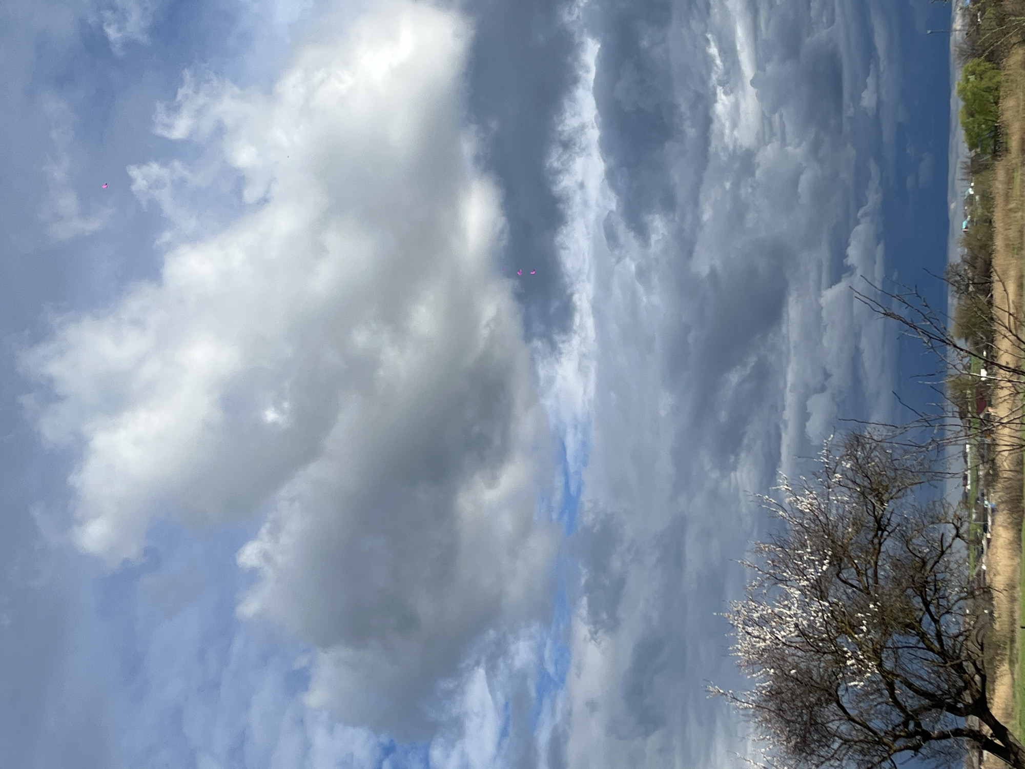 The image depicts a cloudy sky above a landscape in Novopokrovskaya, Russia. A tree with white blossoms is visible in the lower right corner. In the background, there is a field and some distant buildings. There are some pink dots that might be balloons in the sky. The focus is primarily on the sky and clouds. The orientation of the image is vertical.