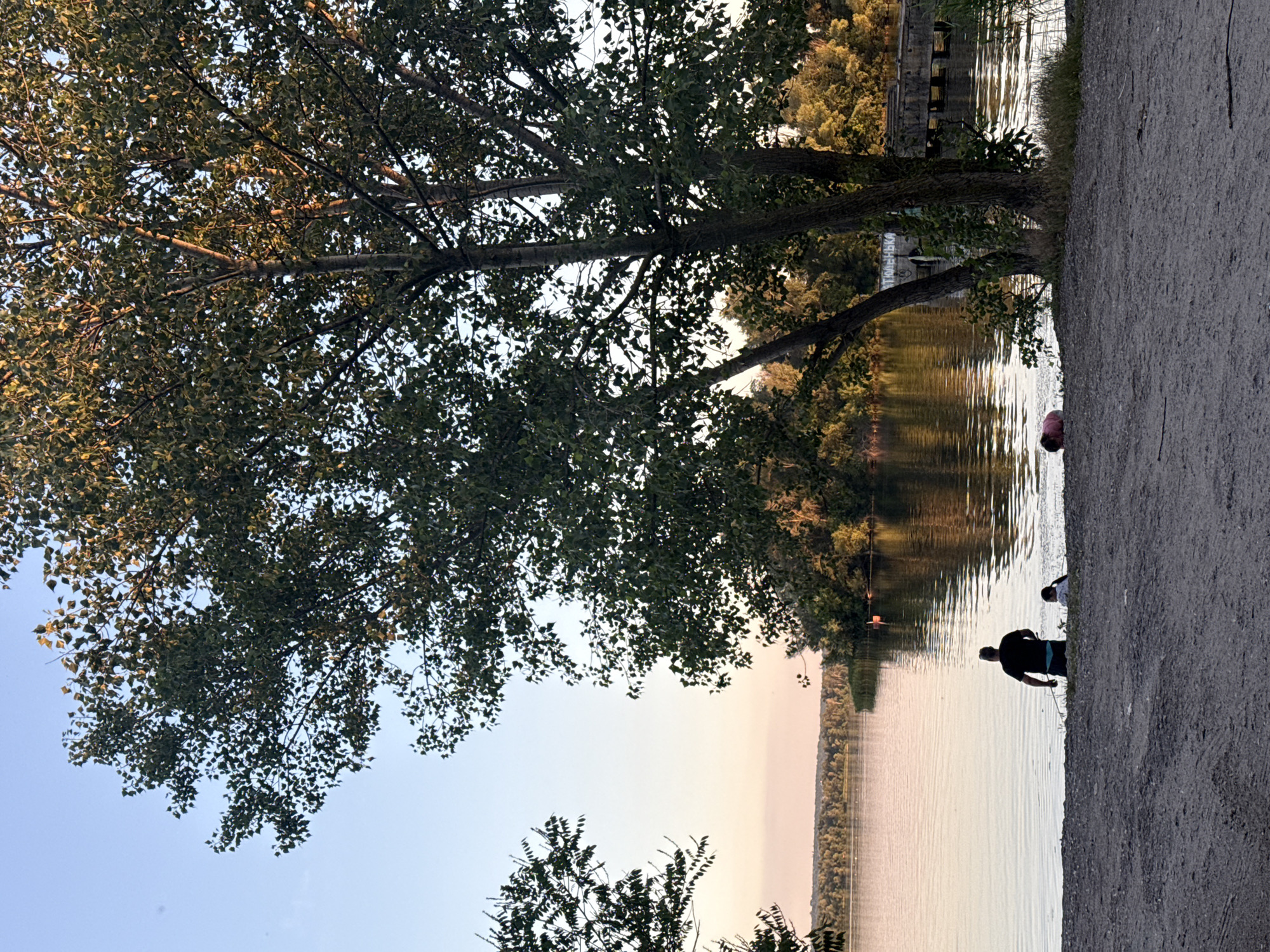 The image depicts a tranquil scene by the river in Obukhivka, Ukraine, bathed in the soft glow of a sunset. In the foreground, a sandy bank leads down to the water. A man in a black t-shirt and dark shorts stands at the edge of the water, facing away from the camera, appearing to be fishing. Nearby, a child in a white shirt is also near the water's edge. Further to the right, another person, wearing a pink shirt, is lying face down in the shallow water. A large tree with dense green foliage dominates the right side of the frame, its branches reaching towards the sky. Across the river, a line of trees forms the distant bank, their colors softened by the evening light. A dilapidated concrete pier is visible in the mid-ground on the right, with some graffiti on a nearby tree. The river's surface is calm, reflecting the warm hues of the sky and the surrounding greenery. The overall atmosphere is one of peaceful leisure.