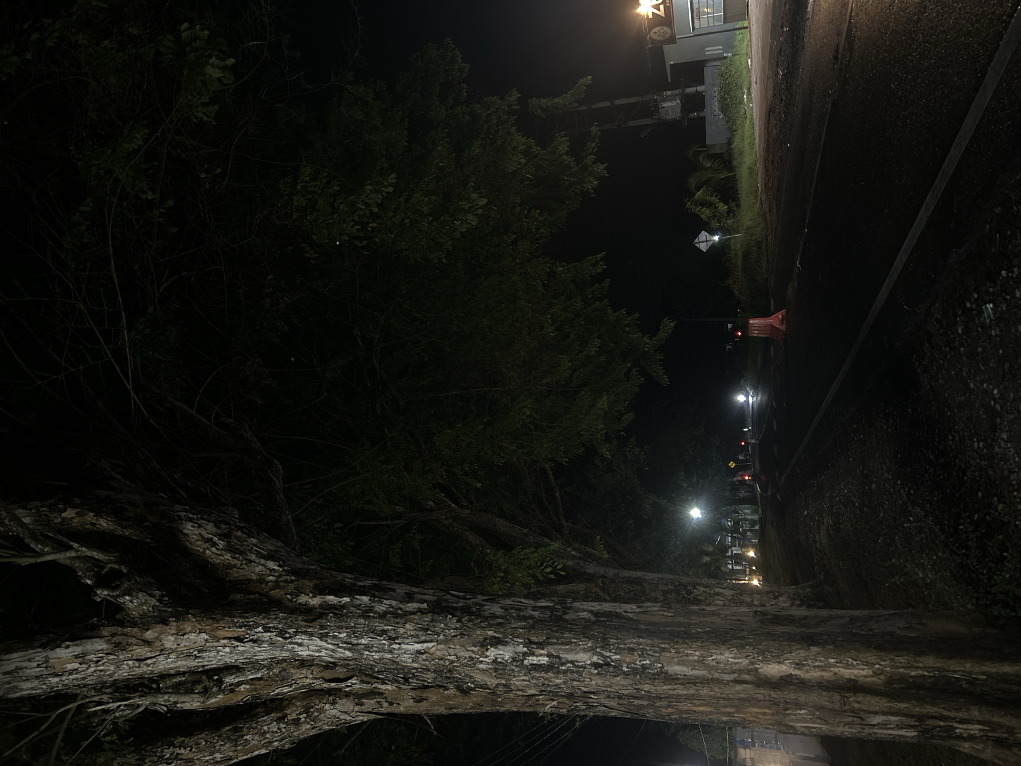 This nighttime image, taken in Payadua, Indonesia, captures a scene dominated by a large, fallen tree trunk in the foreground. The trunk, with its textured, light-colored bark, lies horizontally across the lower and central parts of the frame, suggesting a recent event like a storm or felling.
Behind and above the fallen trunk, dense foliage from other trees and bushes is visible, appearing dark green against the night sky. To the right of the image, a paved road or path runs alongside. Several artificial light sources, likely streetlights, illuminate sections of the road and trees, casting glows and reflections.
Along the roadside, a red and orange traffic barrier or cone is placed, and further down, a white, diamond-shaped road sign can be seen. In the upper right background, buildings with visible windows and signs are present. Partial text "ZO" and possibly "24/7" are discernable on one of these signs, indicating commercial or public establishments. Several utility poles or structures are also visible near the road.
The overall scene depicts a quiet, dark night, with the artificial lights providing the main illumination. The weather appears clear, with no visible precipitation or fog. The image suggests a temporary obstruction or altered landscape due to the fallen tree in an urban or semi-urban setting in Indonesia. No human activity is directly visible.