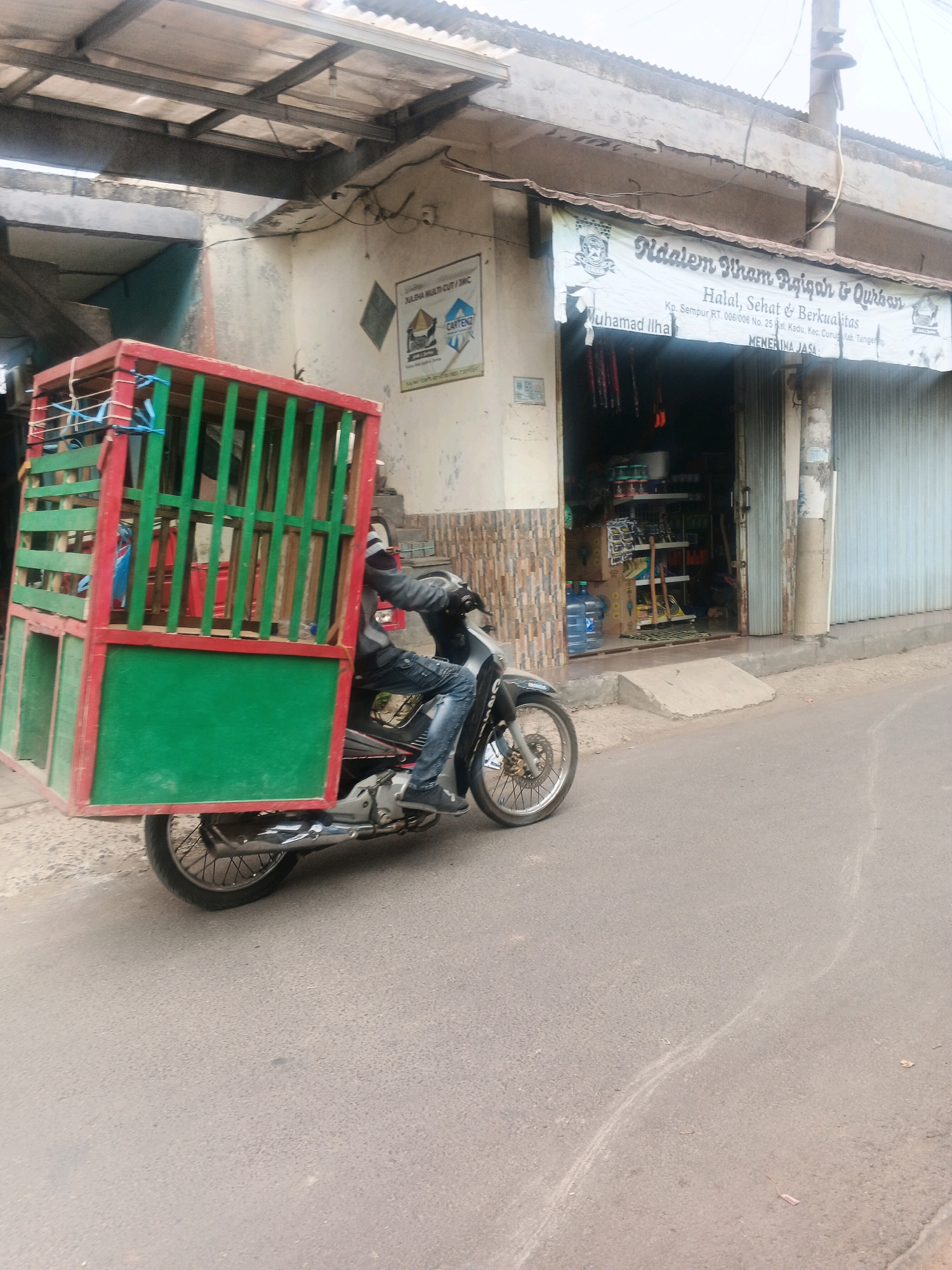 A man rides a motorcycle with a large, red and green cage attached to the back. The cage appears to be made of wood and metal bars, with some blue ropes securing it. The man is wearing a dark jacket and blue jeans. The motorcycle is a dark color with a chrome exhaust pipe. The scene takes place on a paved road in front of a store in Kadu, Indonesia. The store has a banner above the entrance that reads "Nidaalem Viram Rojiah & Qurban" and "Halal, Sehat & Berkualitas". The store appears to be selling various goods, including bottled water and shelving units. The buildings in the background are made of concrete and corrugated metal. The sky is overcast.